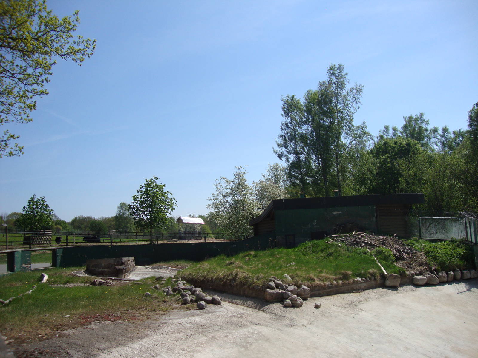 Sk?nes Djurpark May 2013