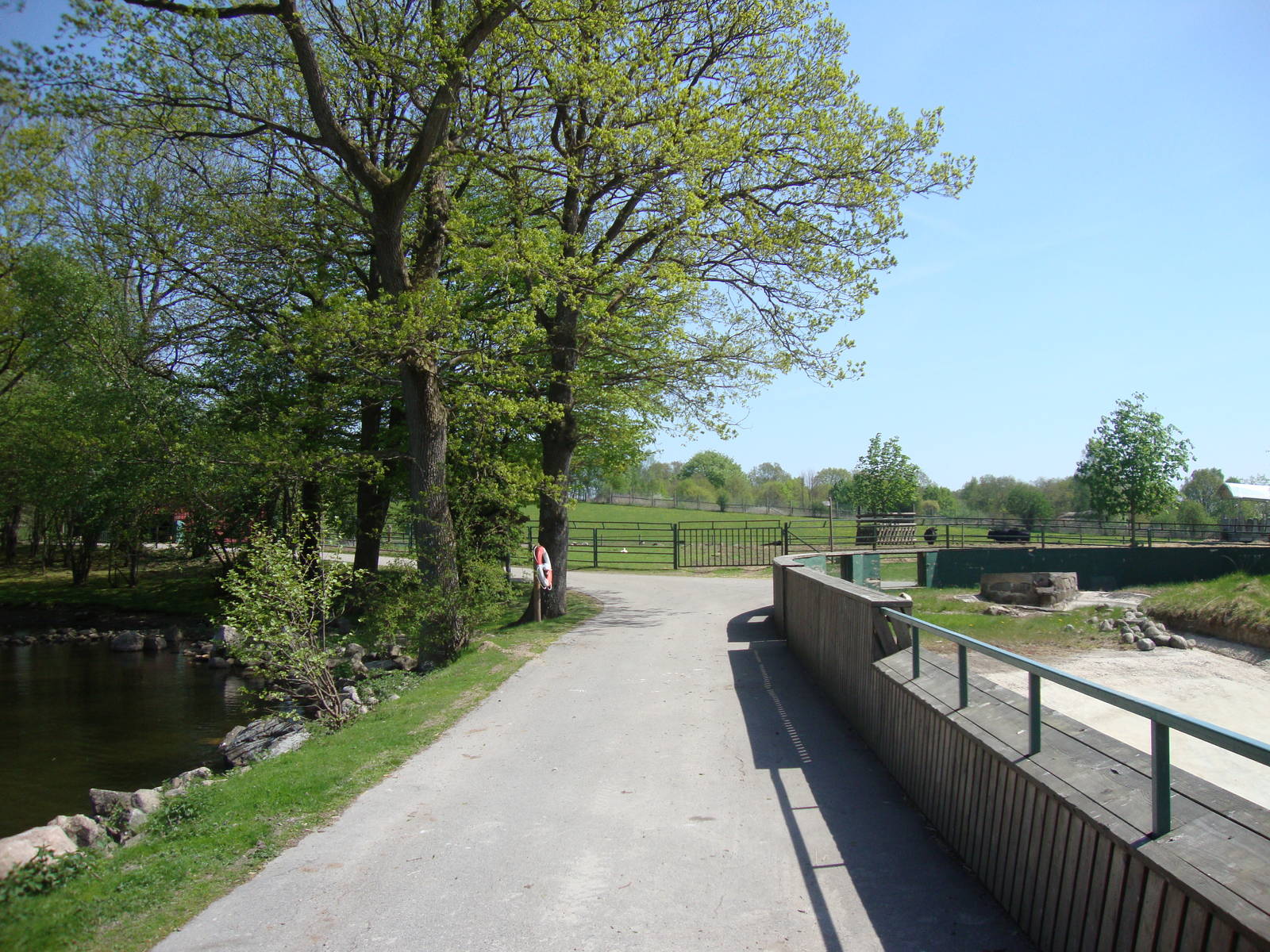 Sk?nes Djurpark May 2013