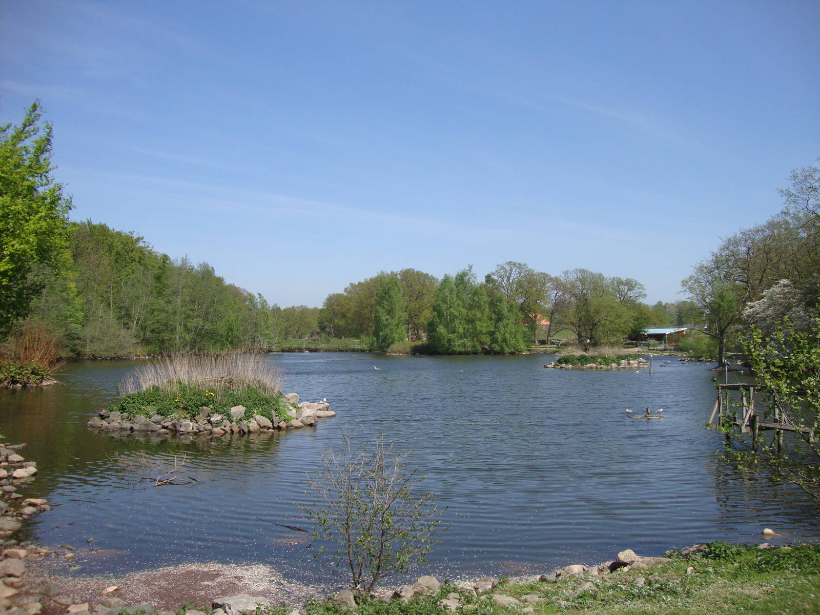 Sk?nes Djurpark May 2013