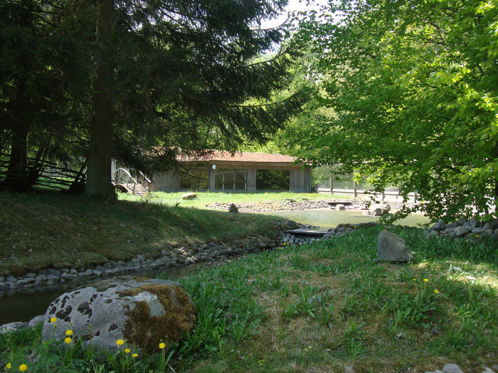 Sk?nes Djurpark May 2013