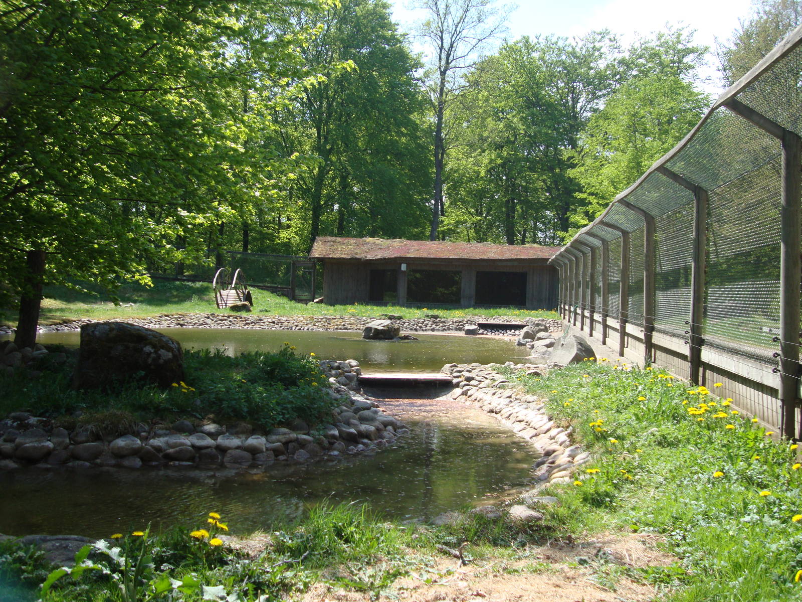 Sk?nes Djurpark May 2013