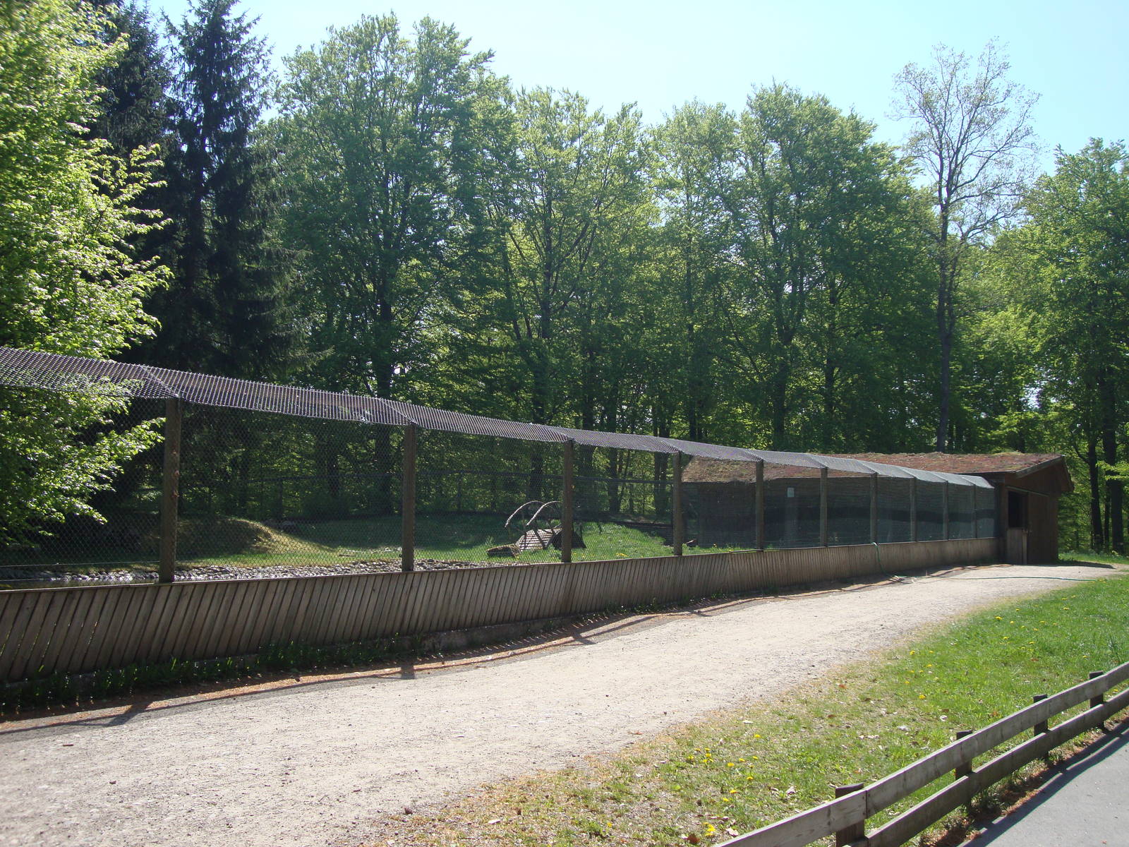 Sk?nes Djurpark May 2013