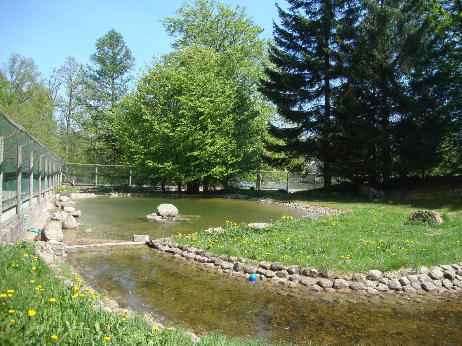 Sk?nes Djurpark May 2013