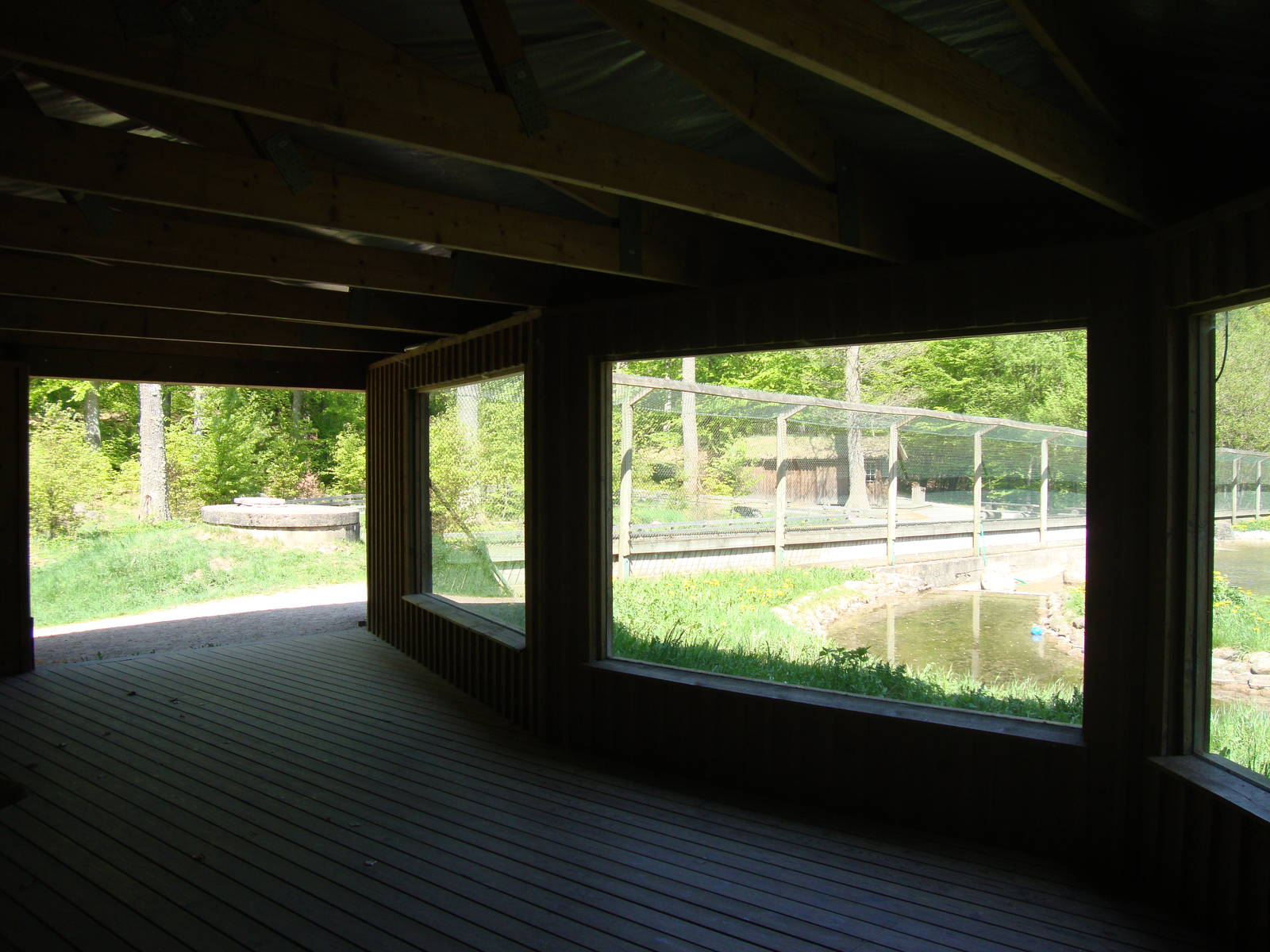 Sk?nes Djurpark May 2013