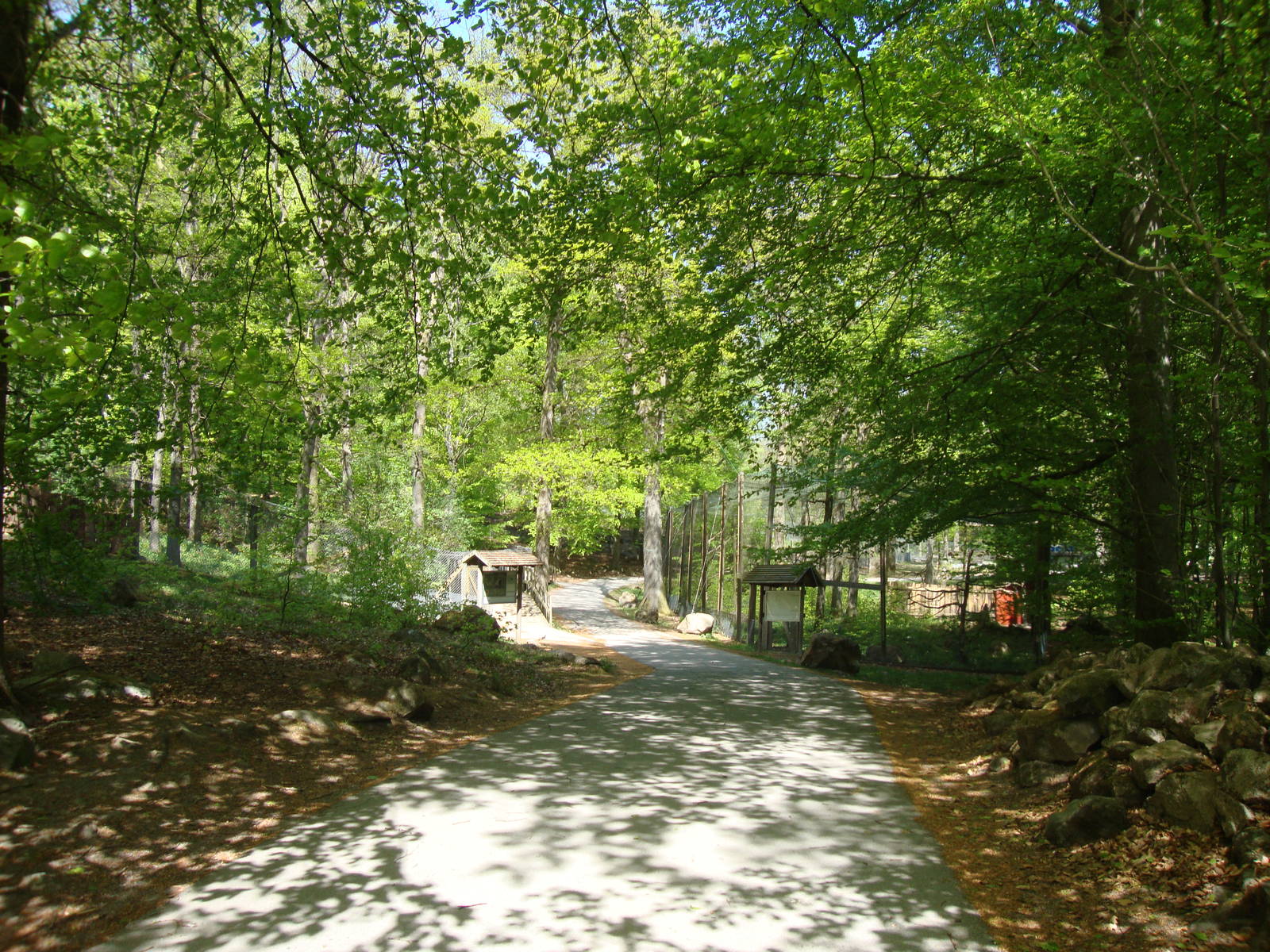 Sk?nes Djurpark May 2013