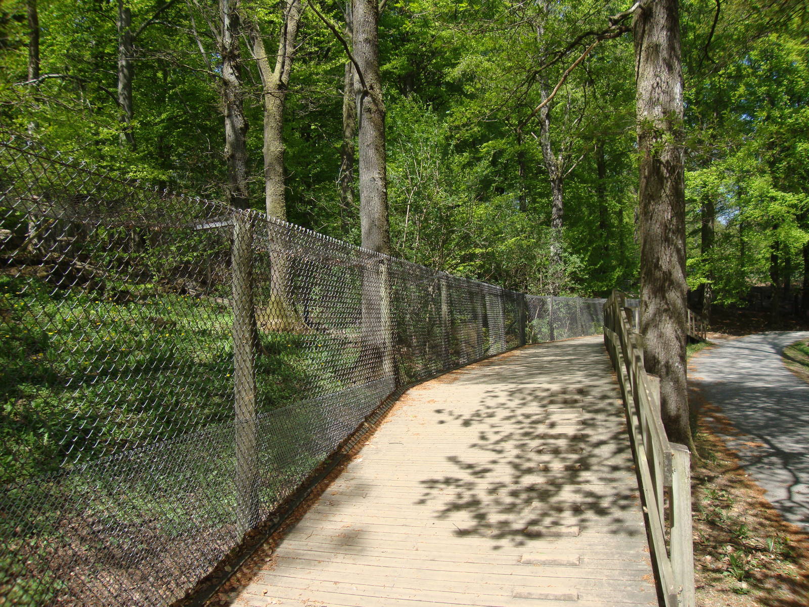 Sk?nes Djurpark May 2013