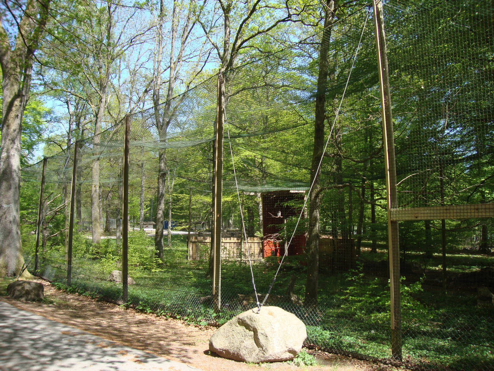 Sk?nes Djurpark May 2013