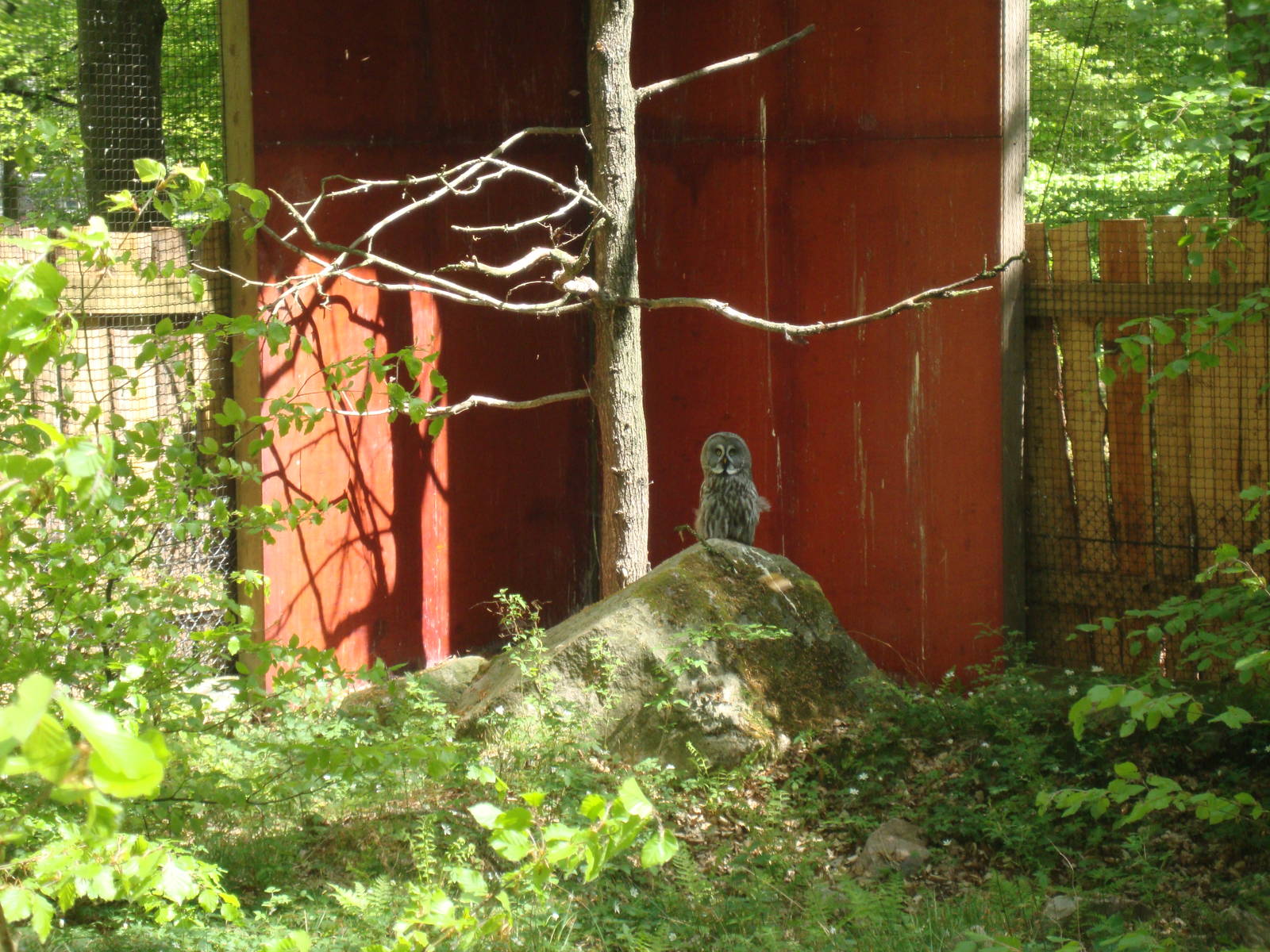 Sk?nes Djurpark May 2013