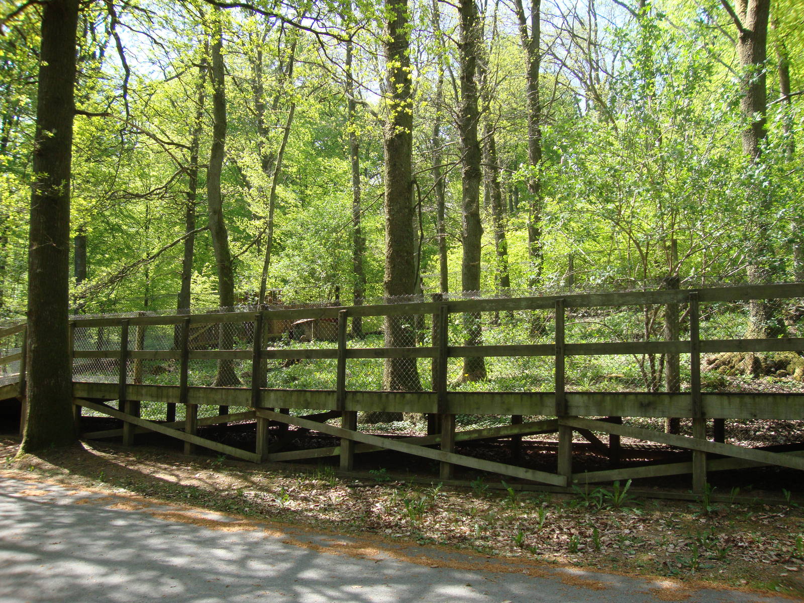 Sk?nes Djurpark May 2013