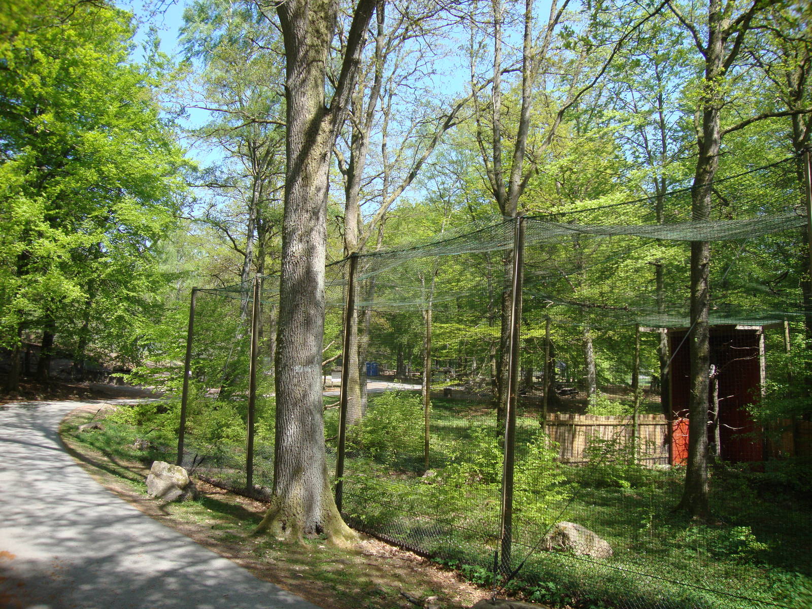 Sk?nes Djurpark May 2013