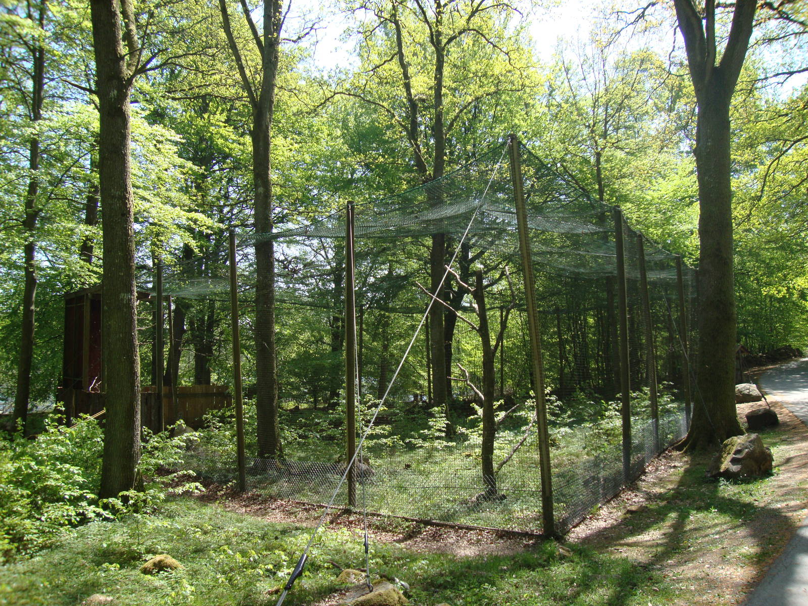 Sk?nes Djurpark May 2013