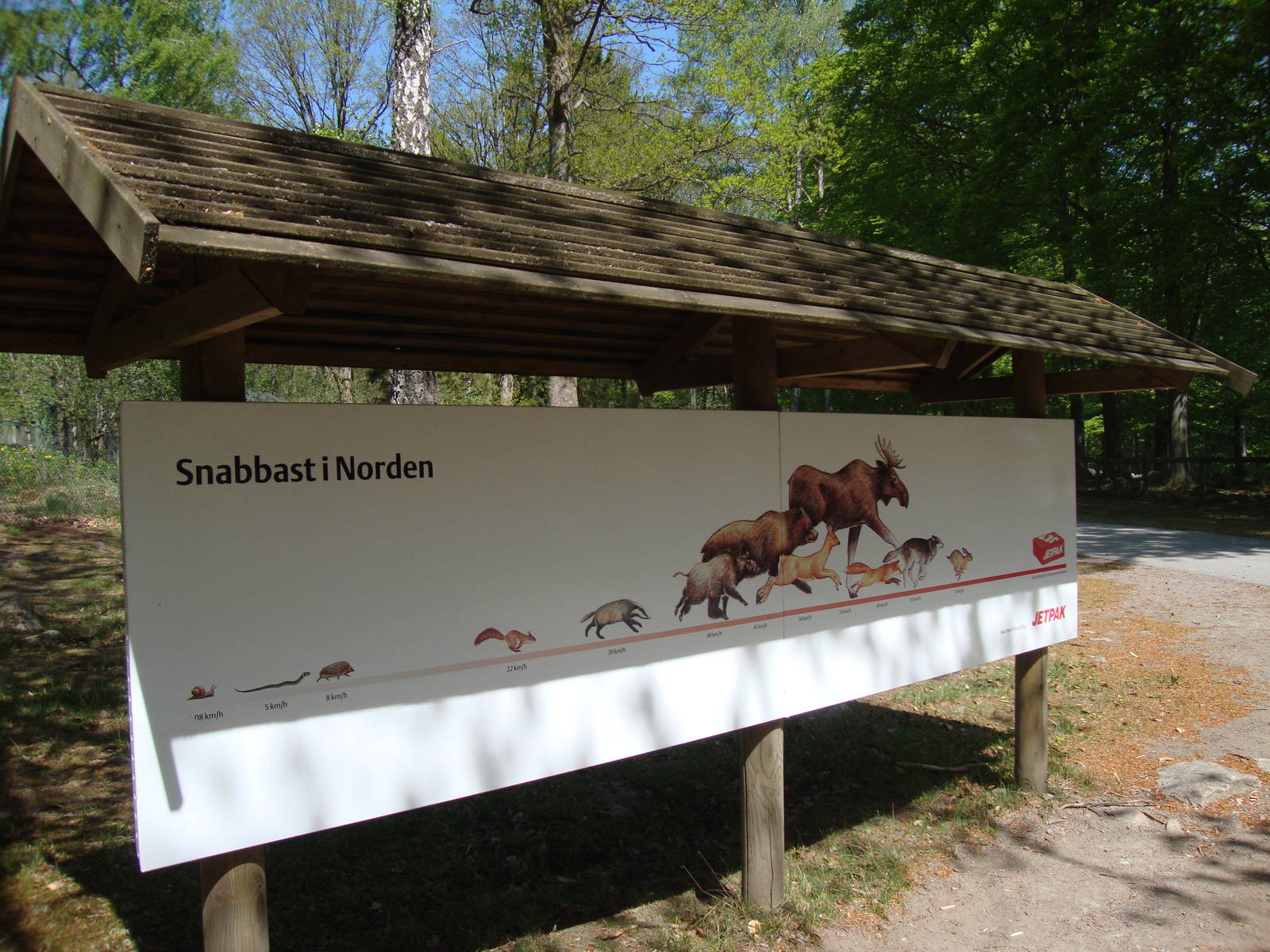 Sk?nes Djurpark May 2013