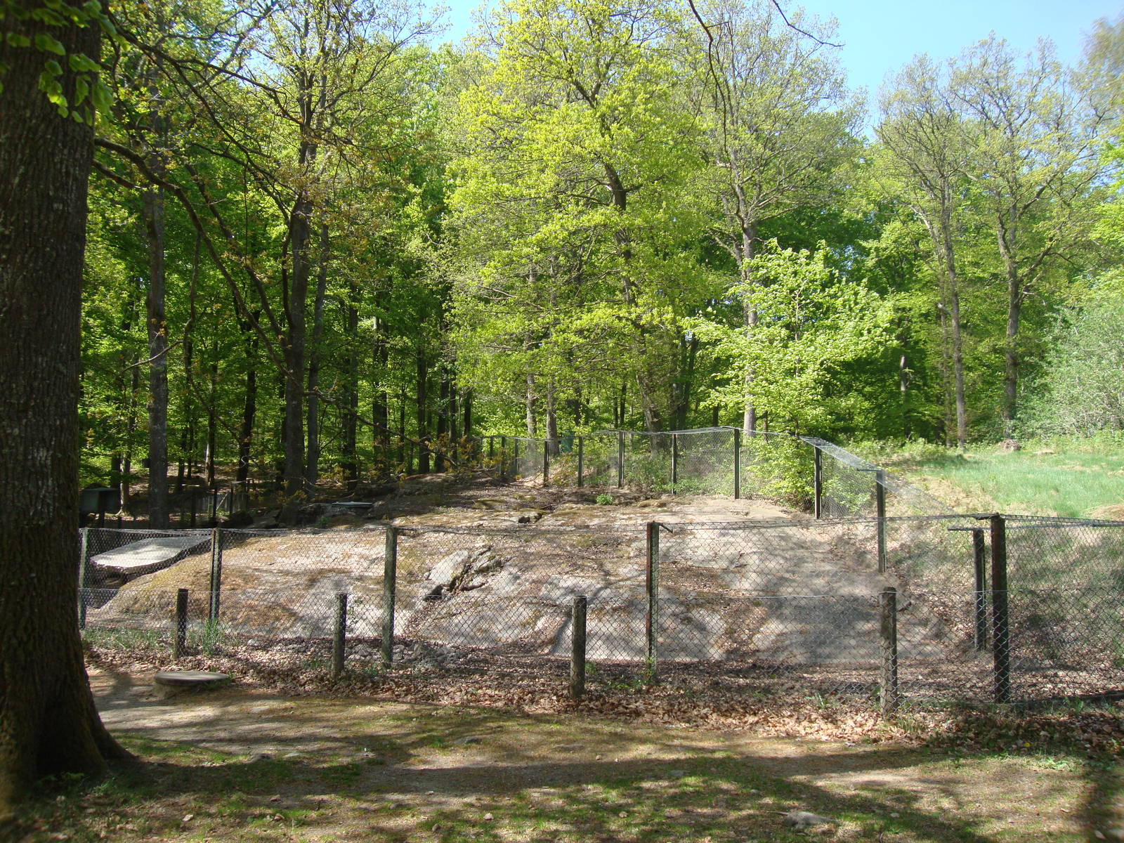 Sk?nes Djurpark May 2013