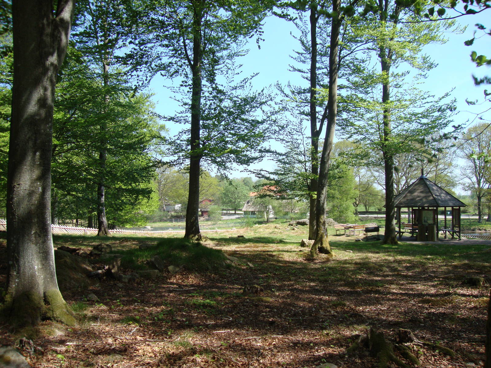 Sk?nes Djurpark May 2013