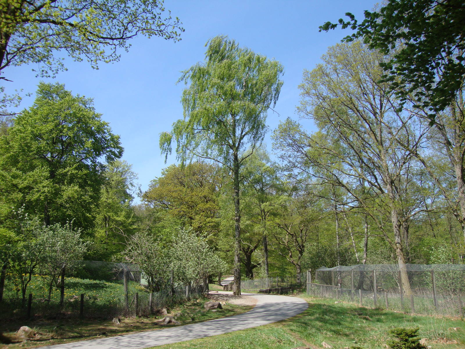 Sk?nes Djurpark May 2013