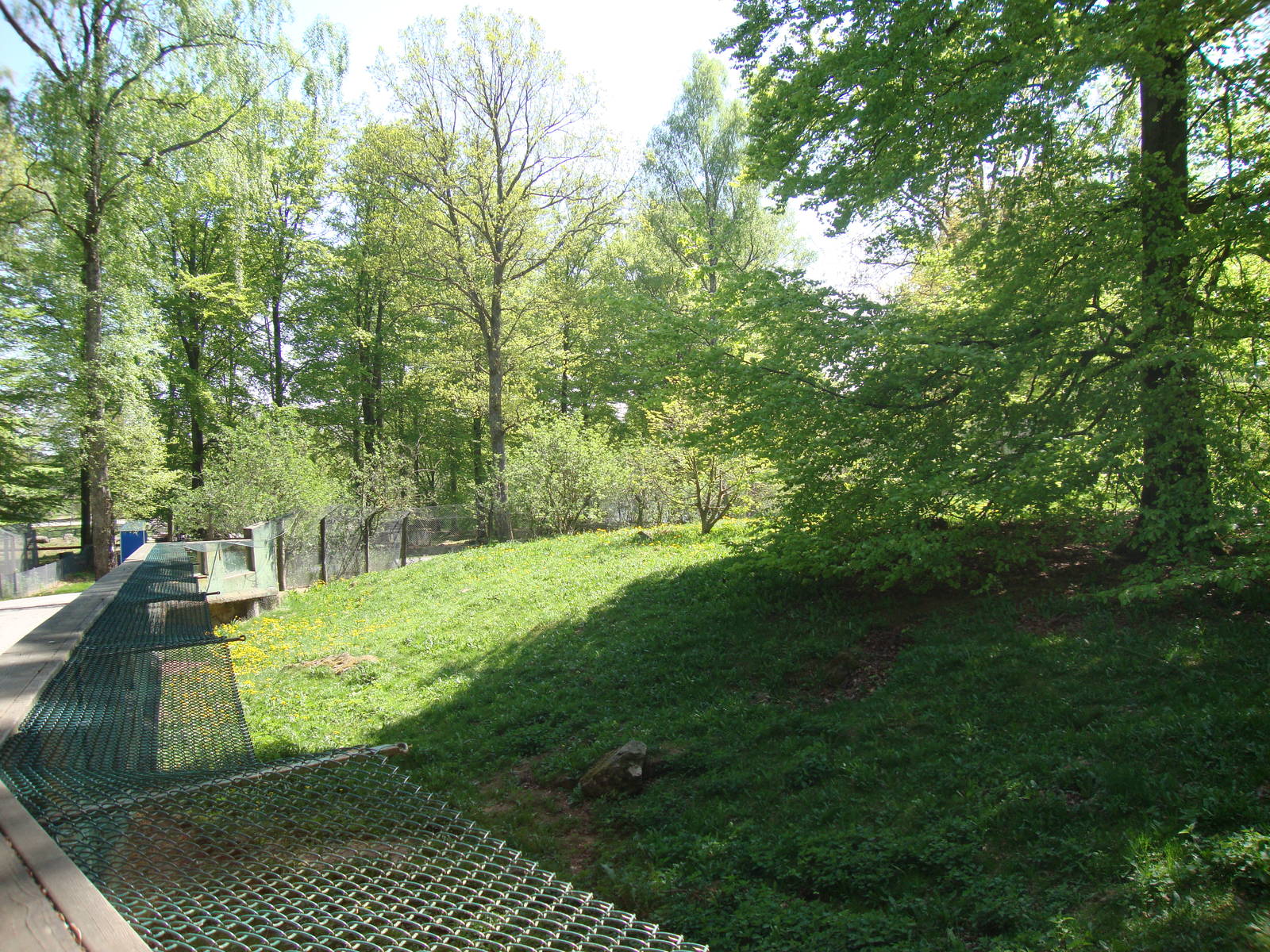 Sk?nes Djurpark May 2013