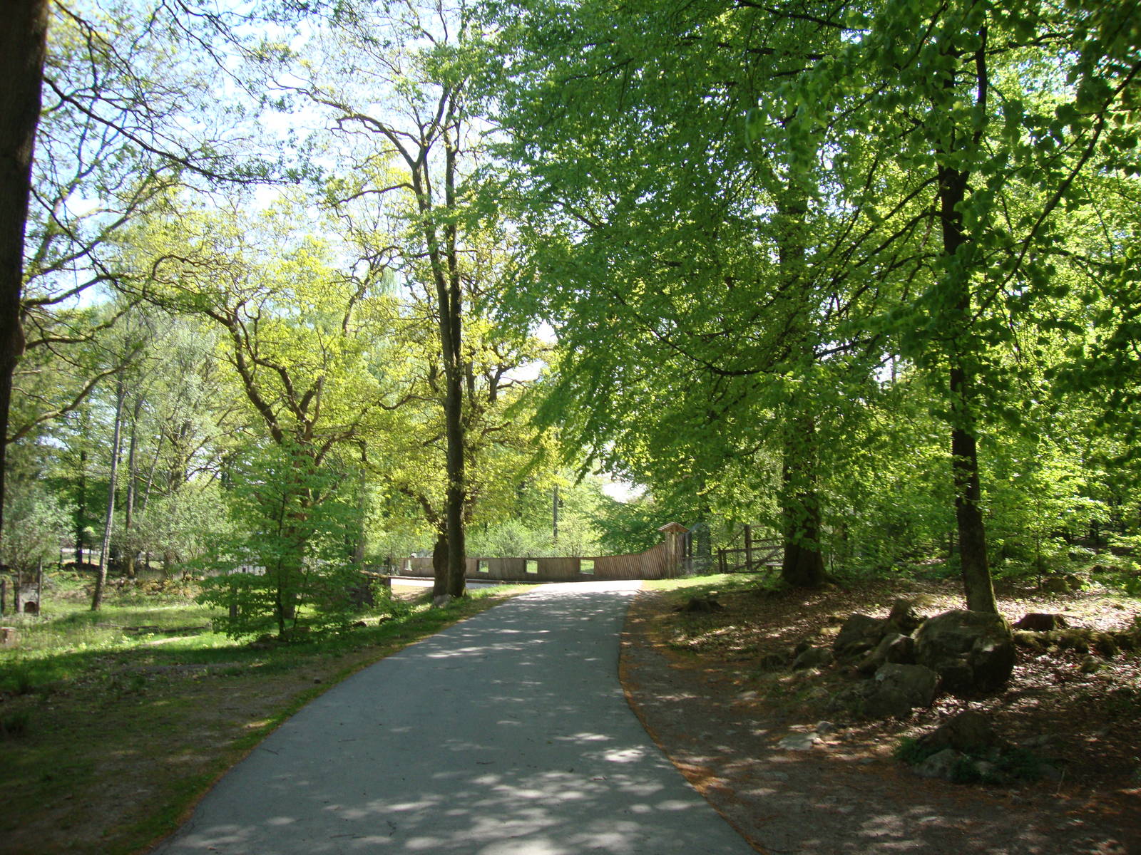 Sk?nes Djurpark May 2013