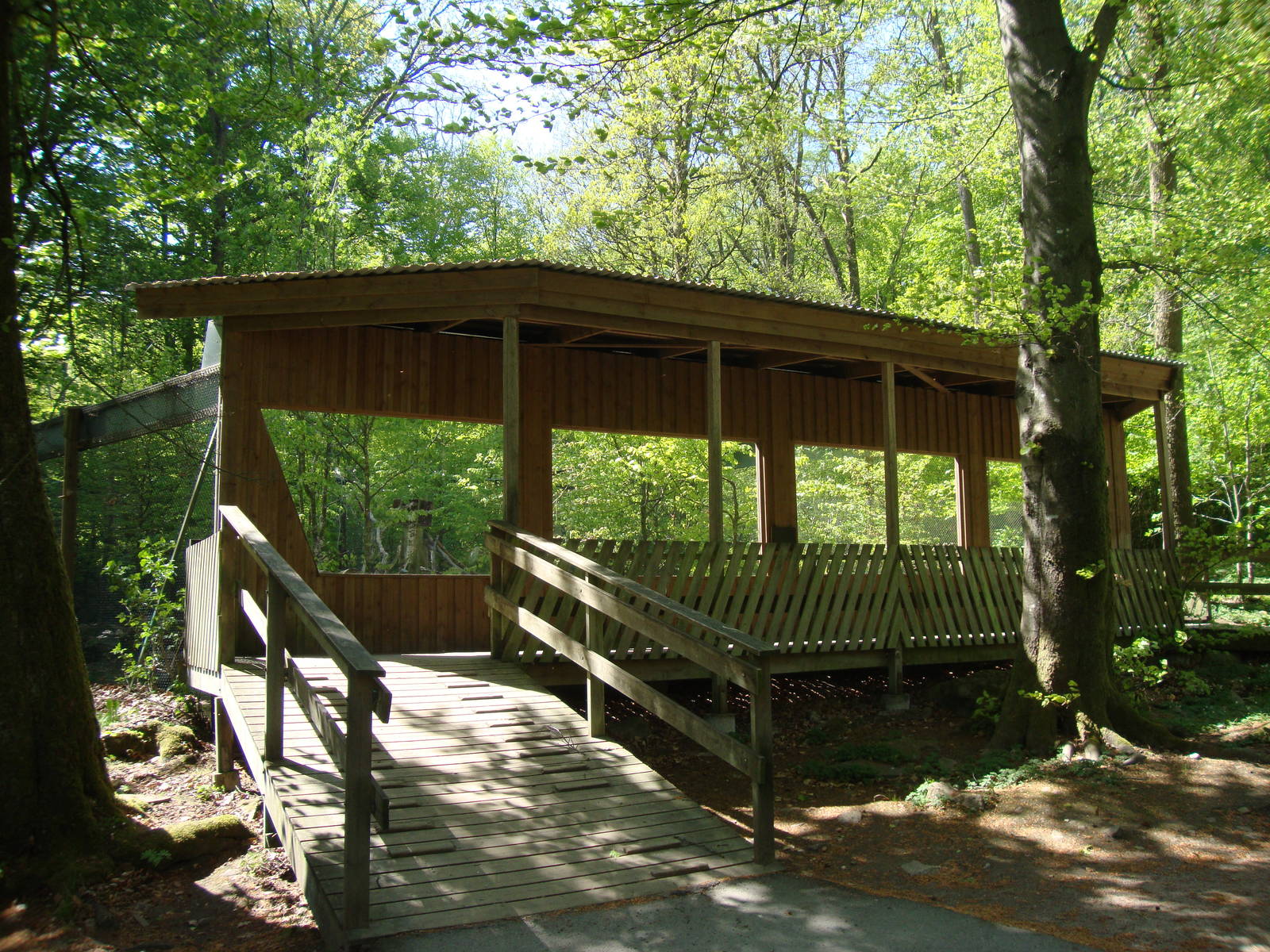 Sk?nes Djurpark May 2013