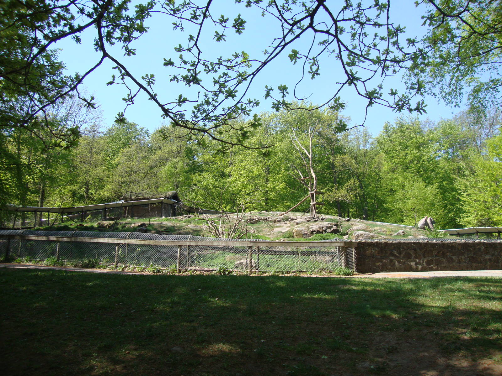 Sk?nes Djurpark May 2013