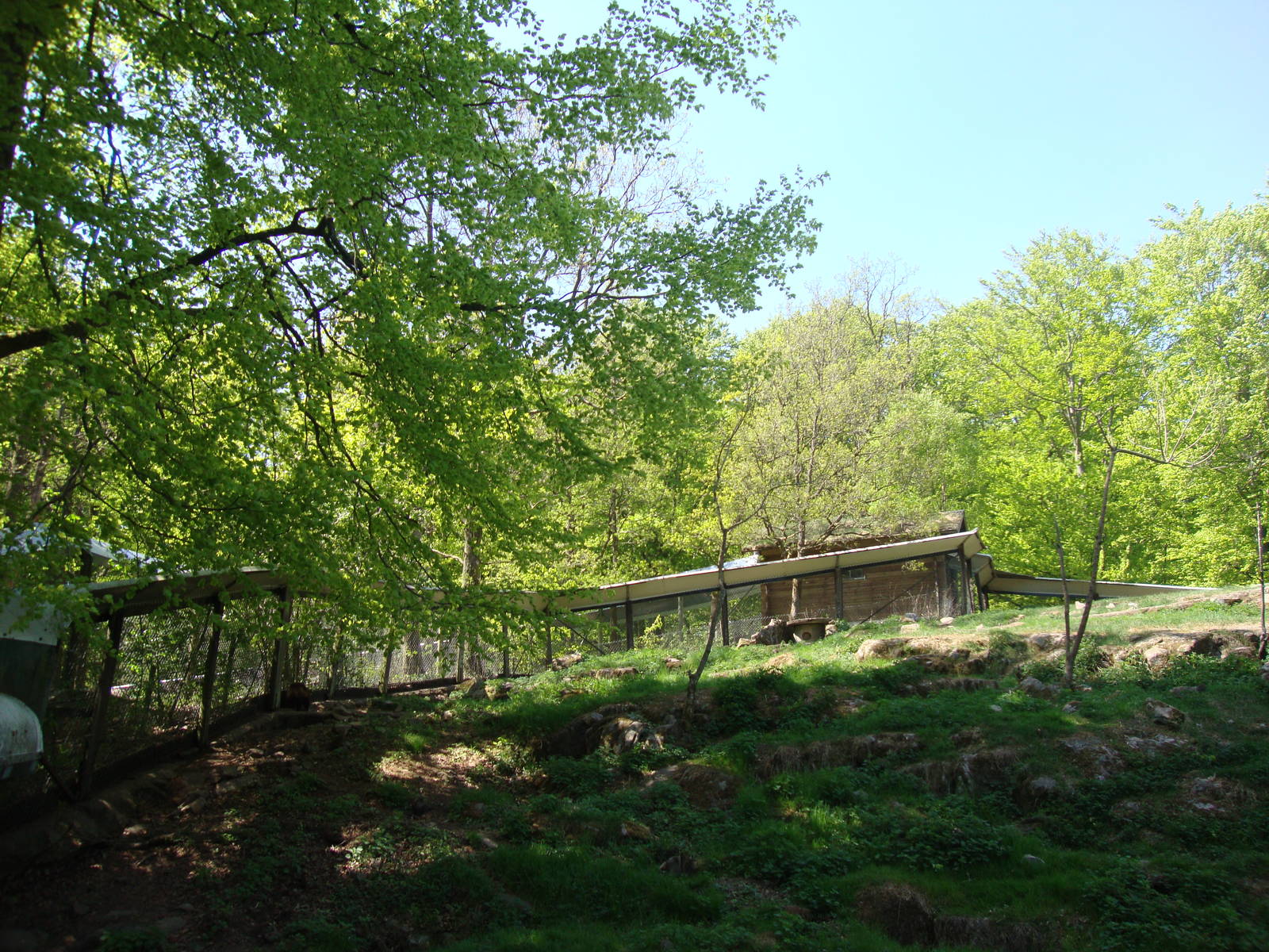 Sk?nes Djurpark May 2013