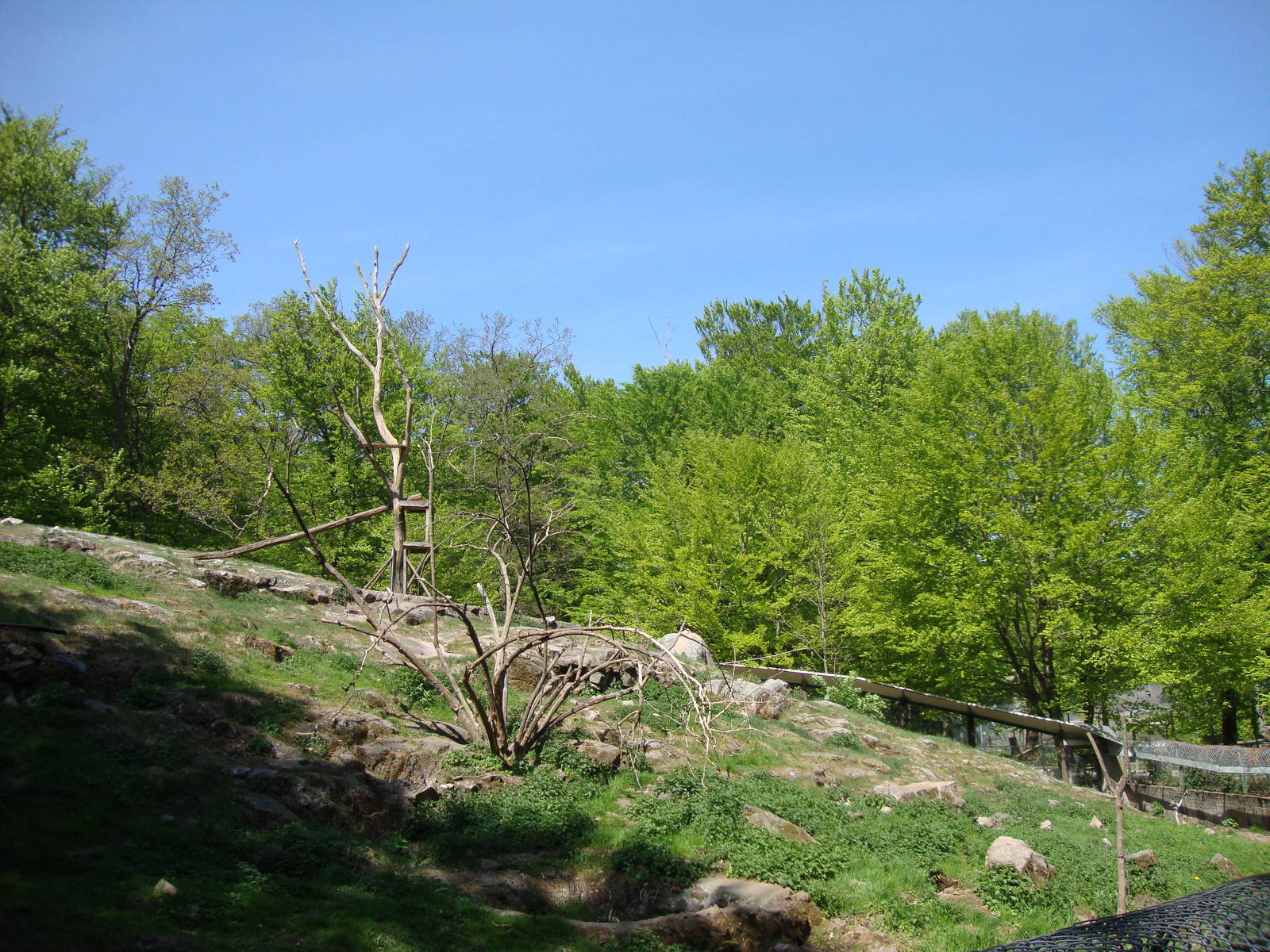 Sk?nes Djurpark May 2013