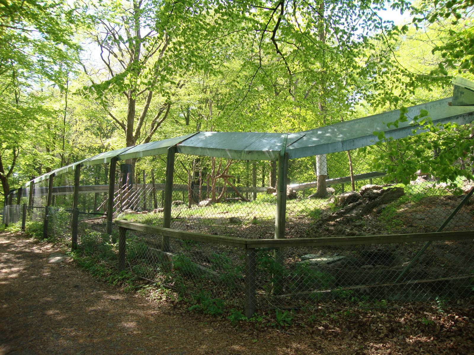 Sk?nes Djurpark May 2013