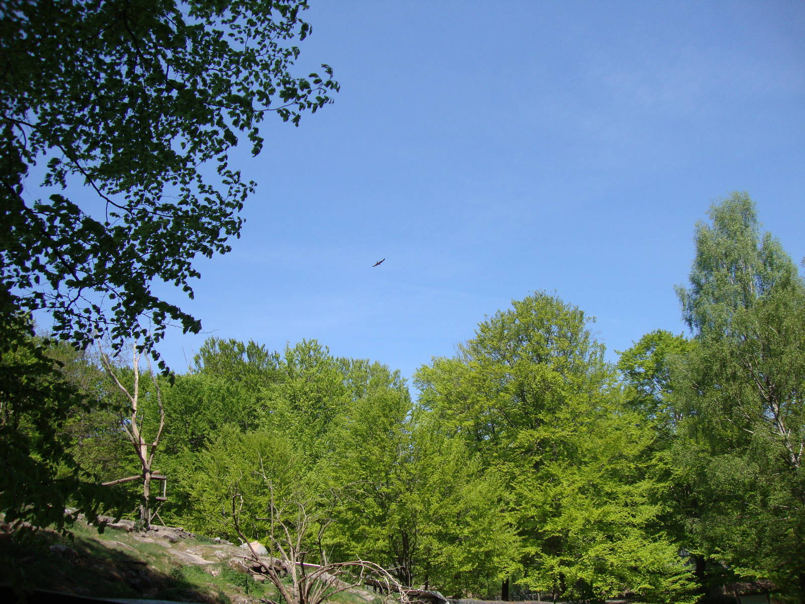 Sk?nes Djurpark May 2013