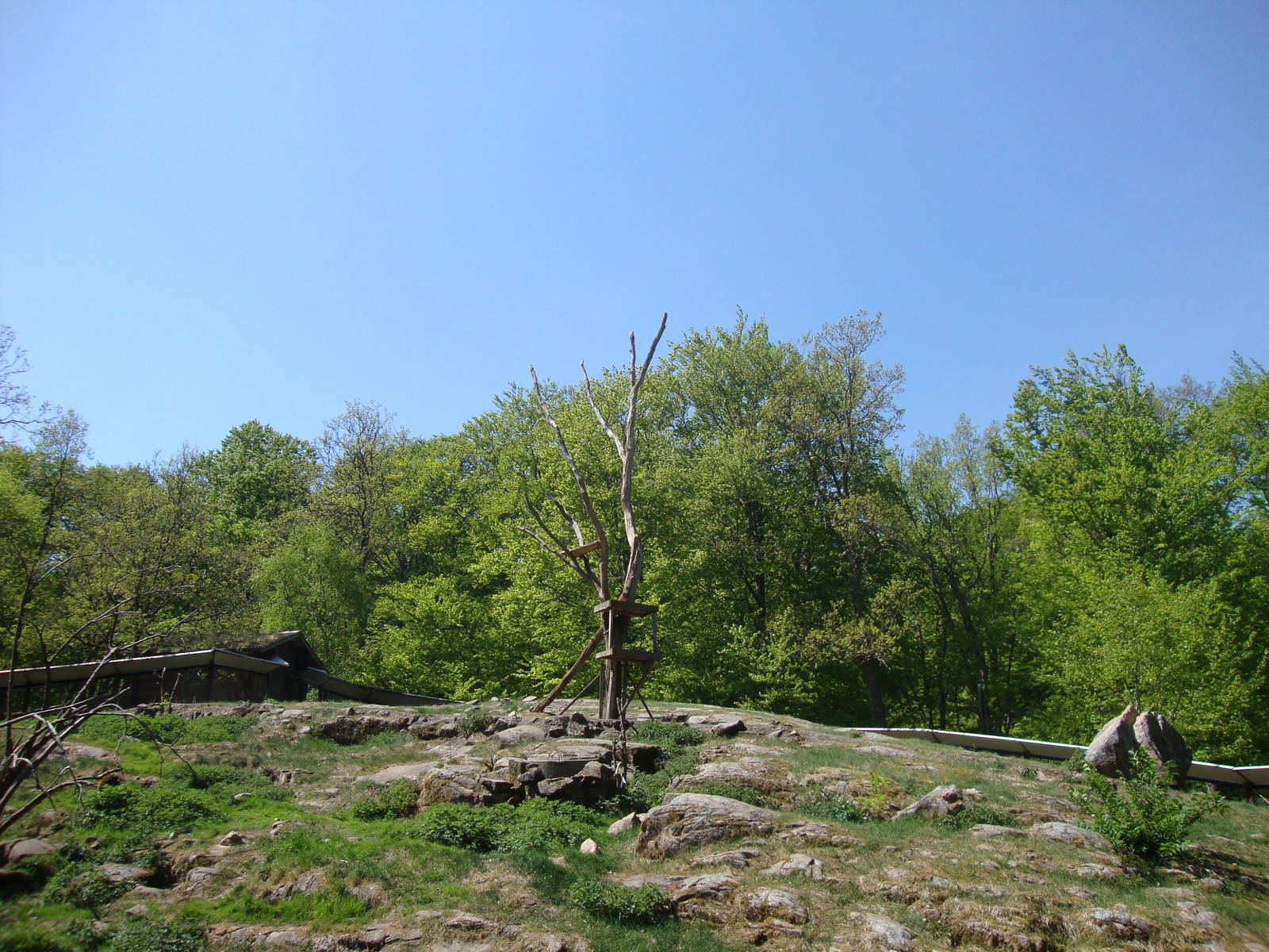 Sk?nes Djurpark May 2013