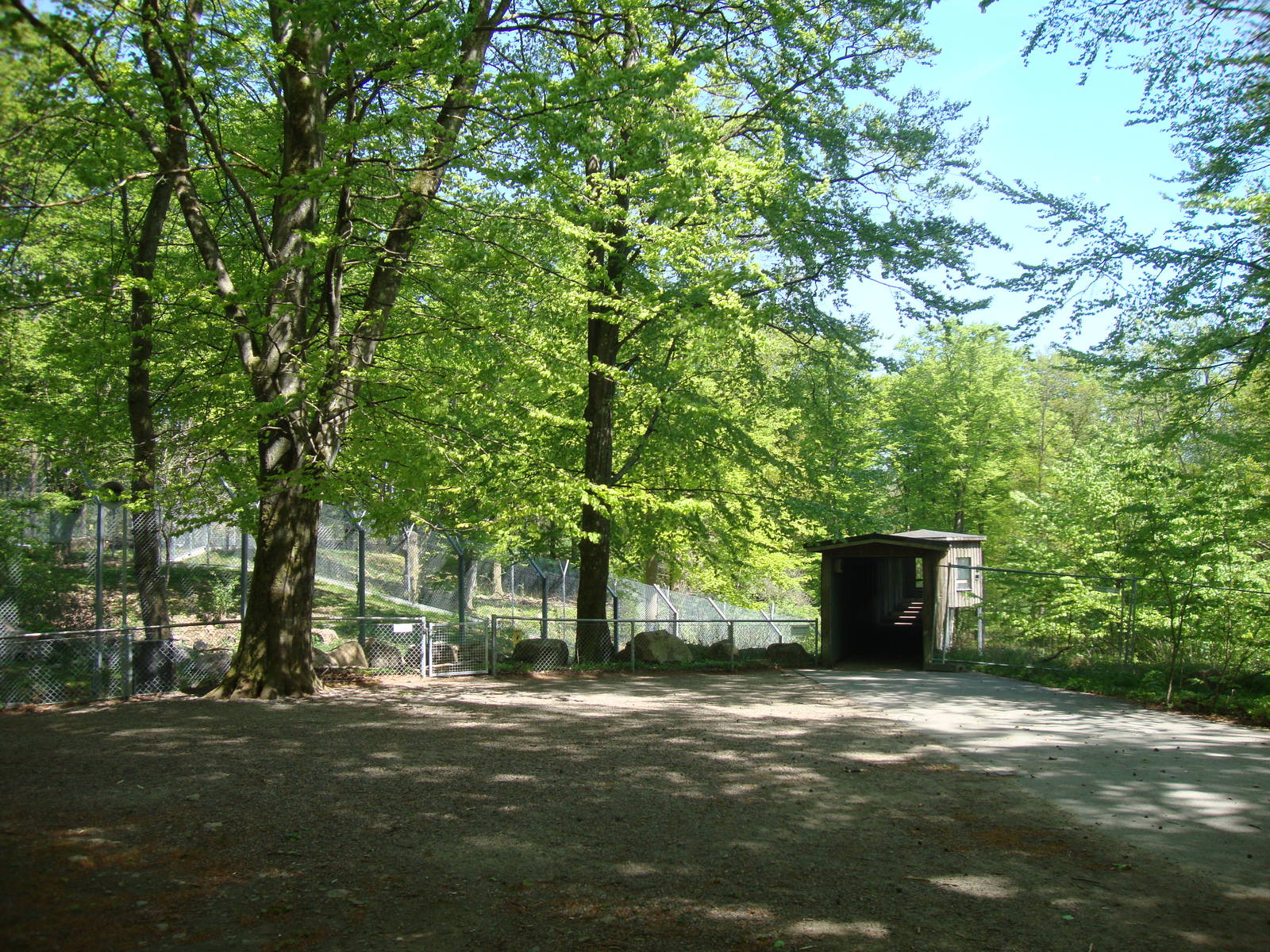 Sk?nes Djurpark May 2013