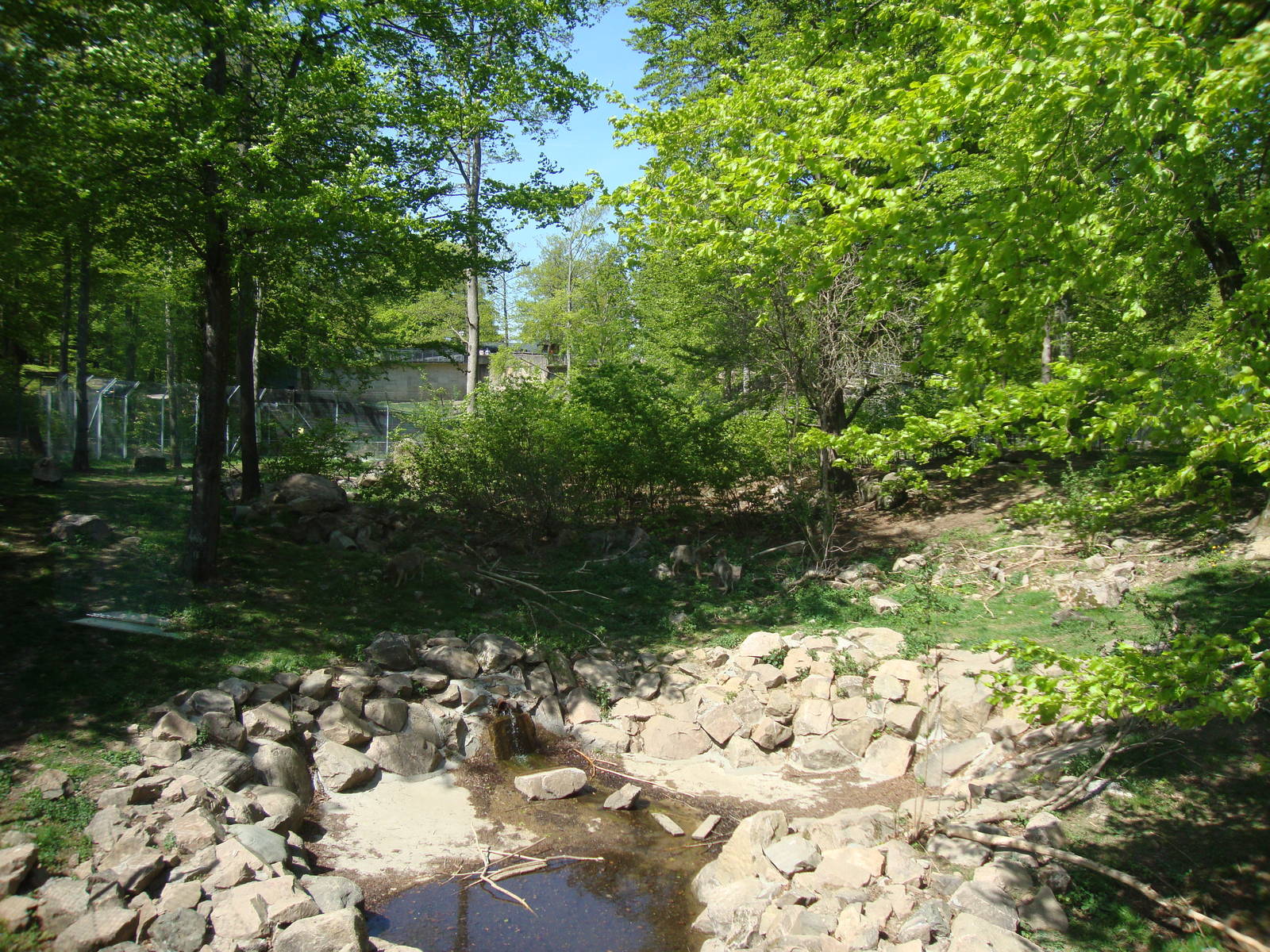 Sk?nes Djurpark May 2013