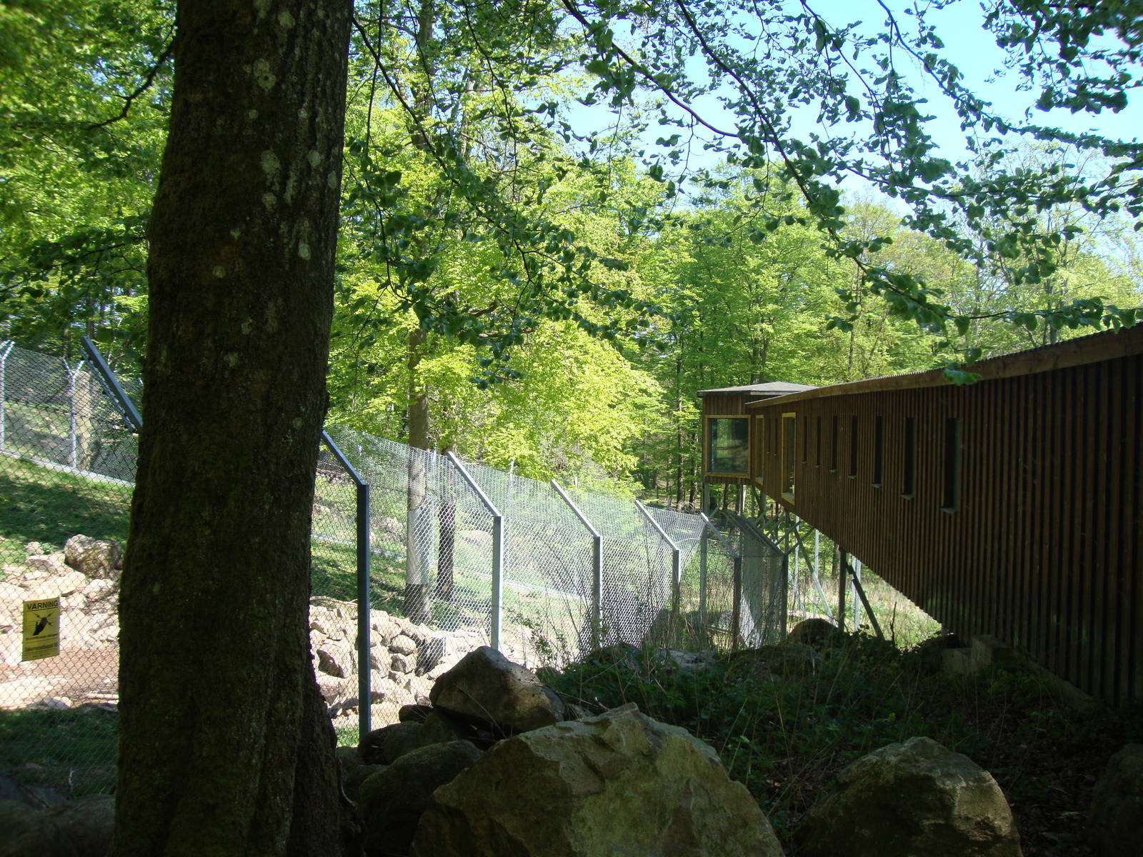 Sk?nes Djurpark May 2013