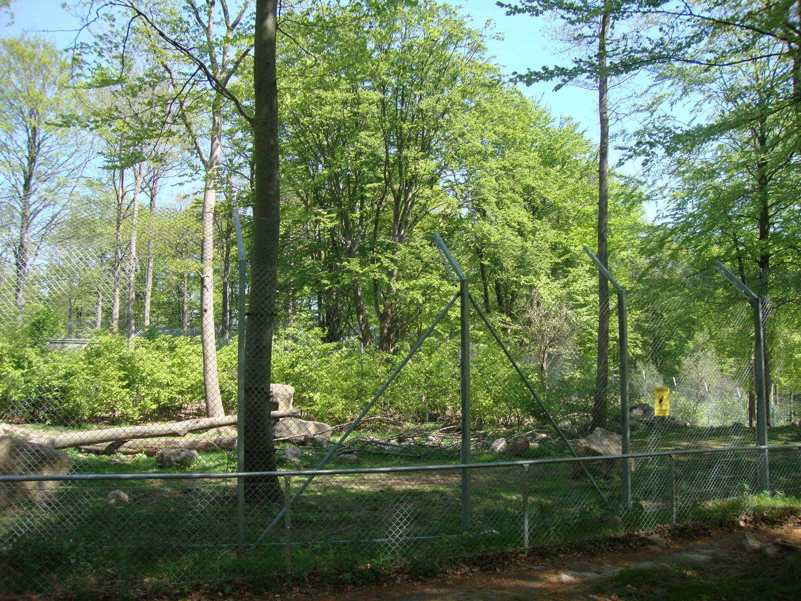 Sk?nes Djurpark May 2013