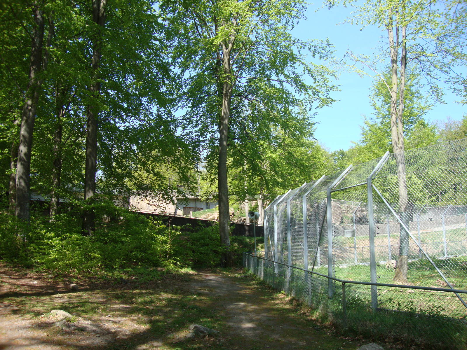 Sk?nes Djurpark May 2013