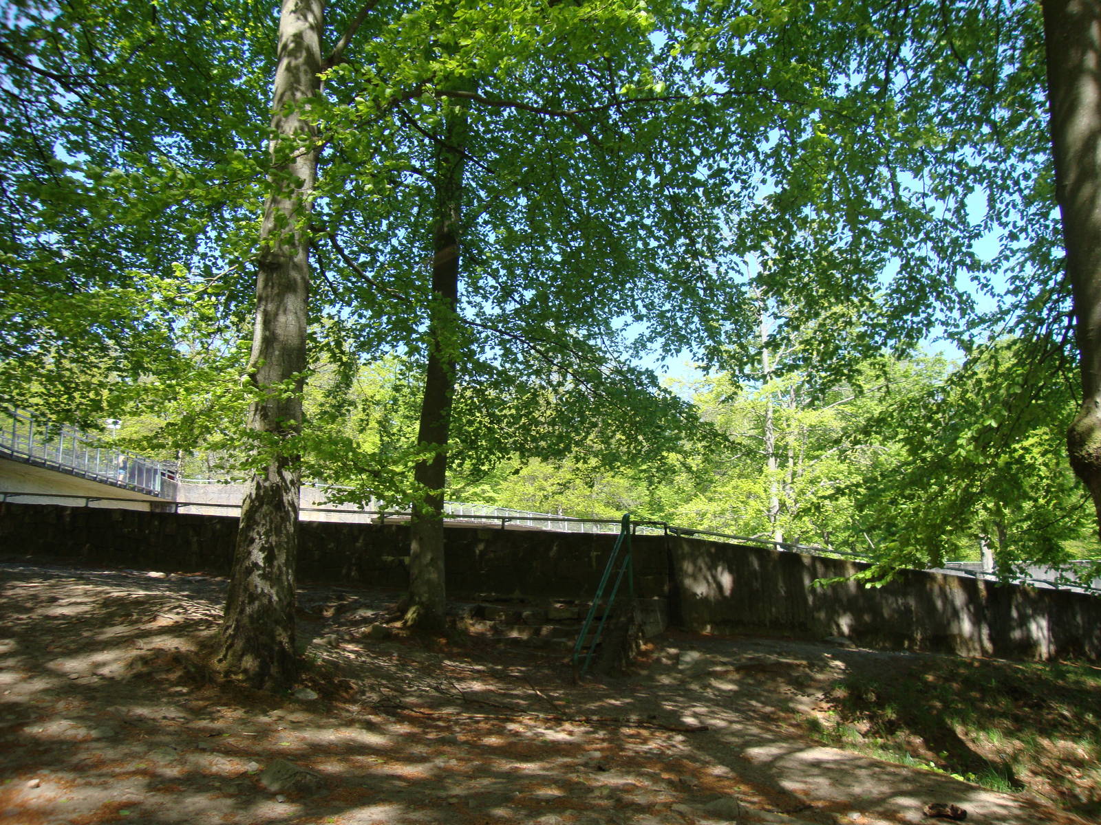 Sk?nes Djurpark May 2013