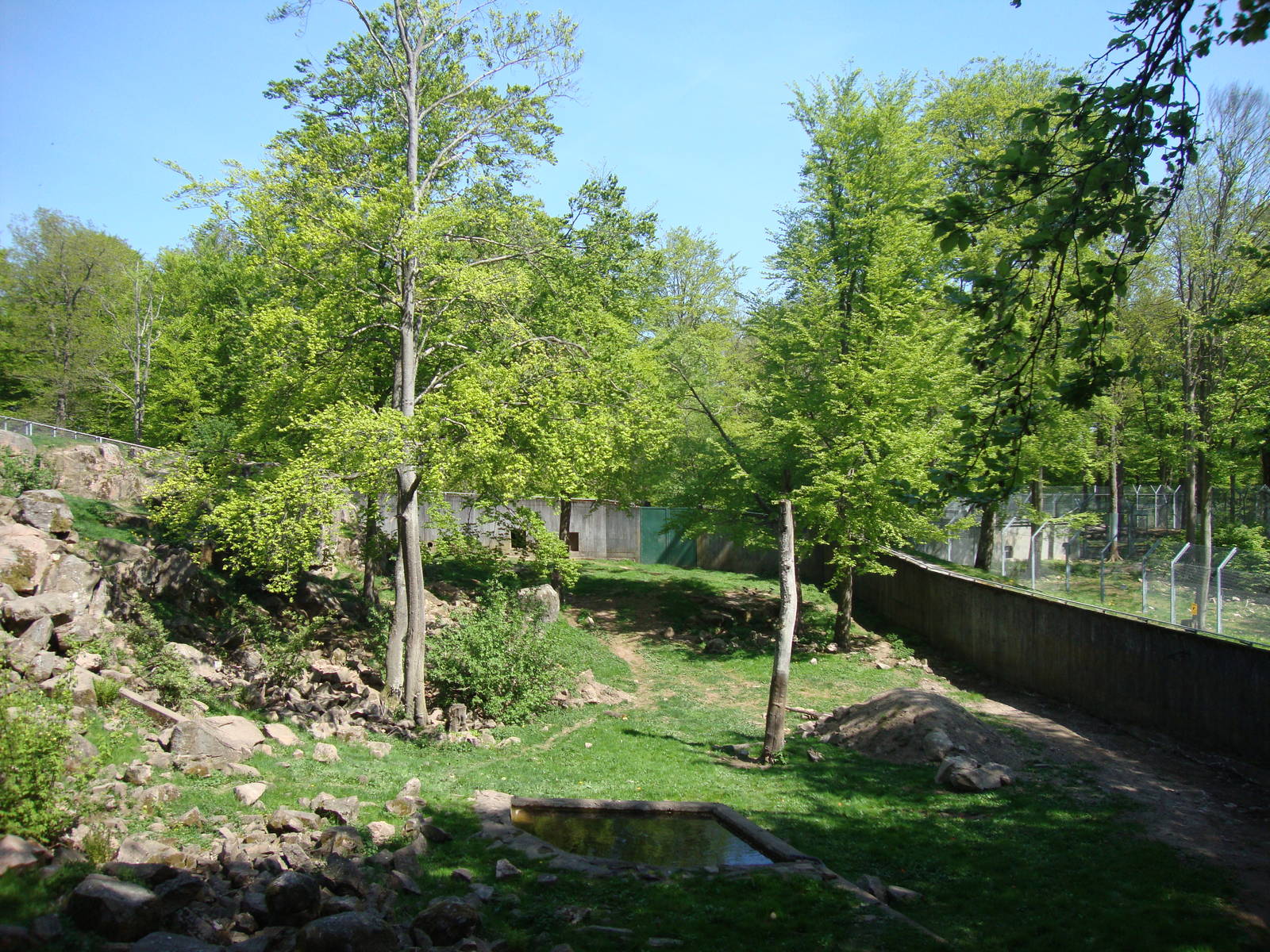 Sk?nes Djurpark May 2013