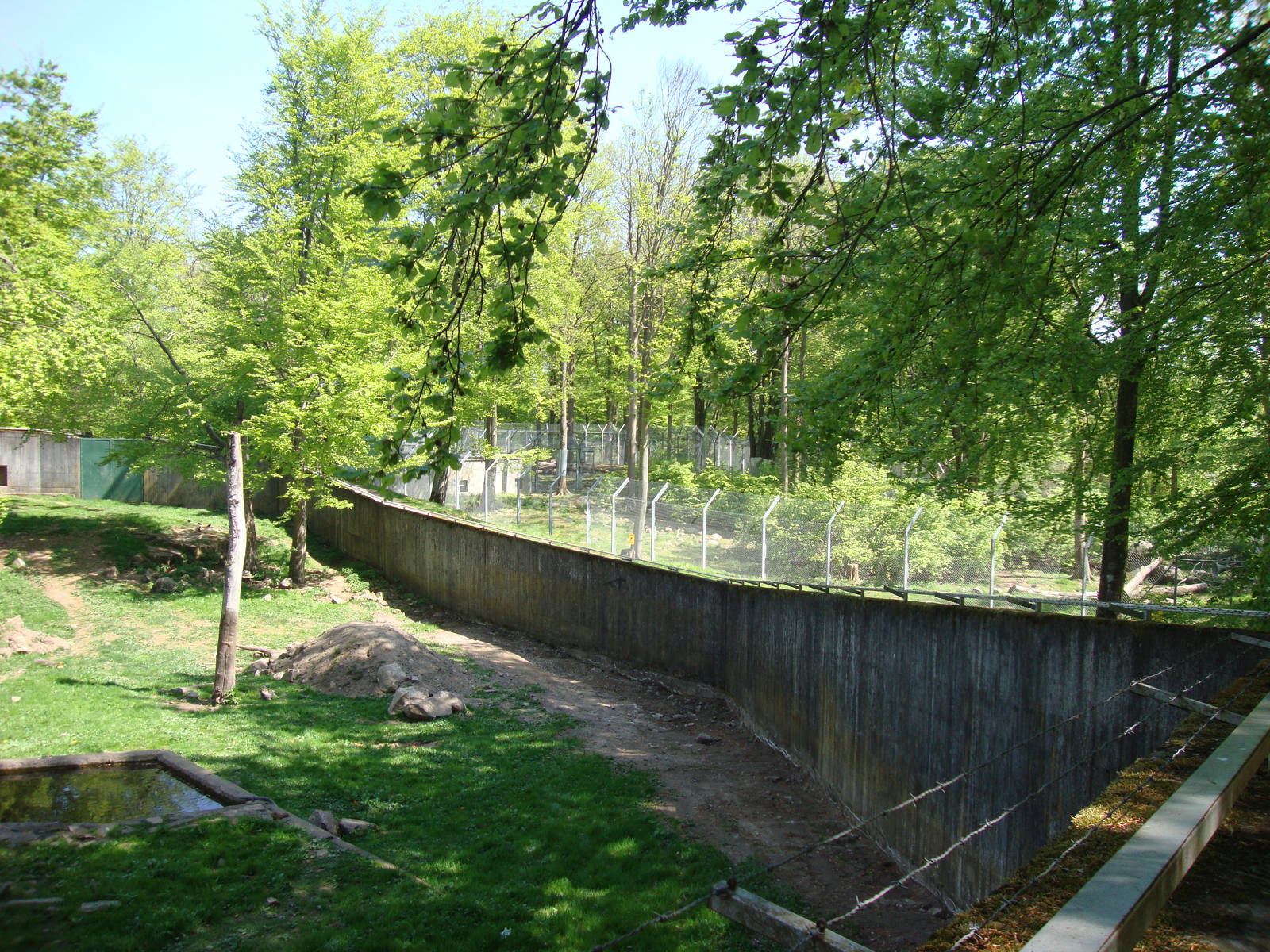 Sk?nes Djurpark May 2013