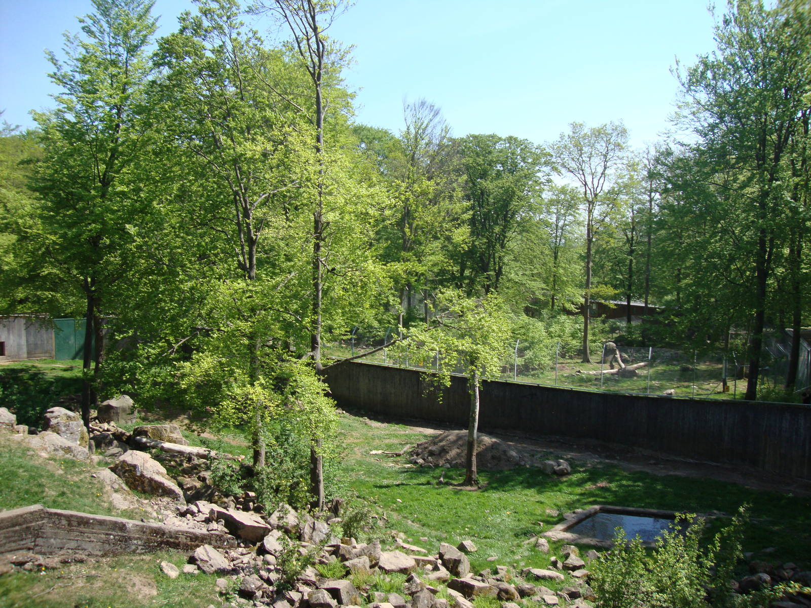 Sk?nes Djurpark May 2013