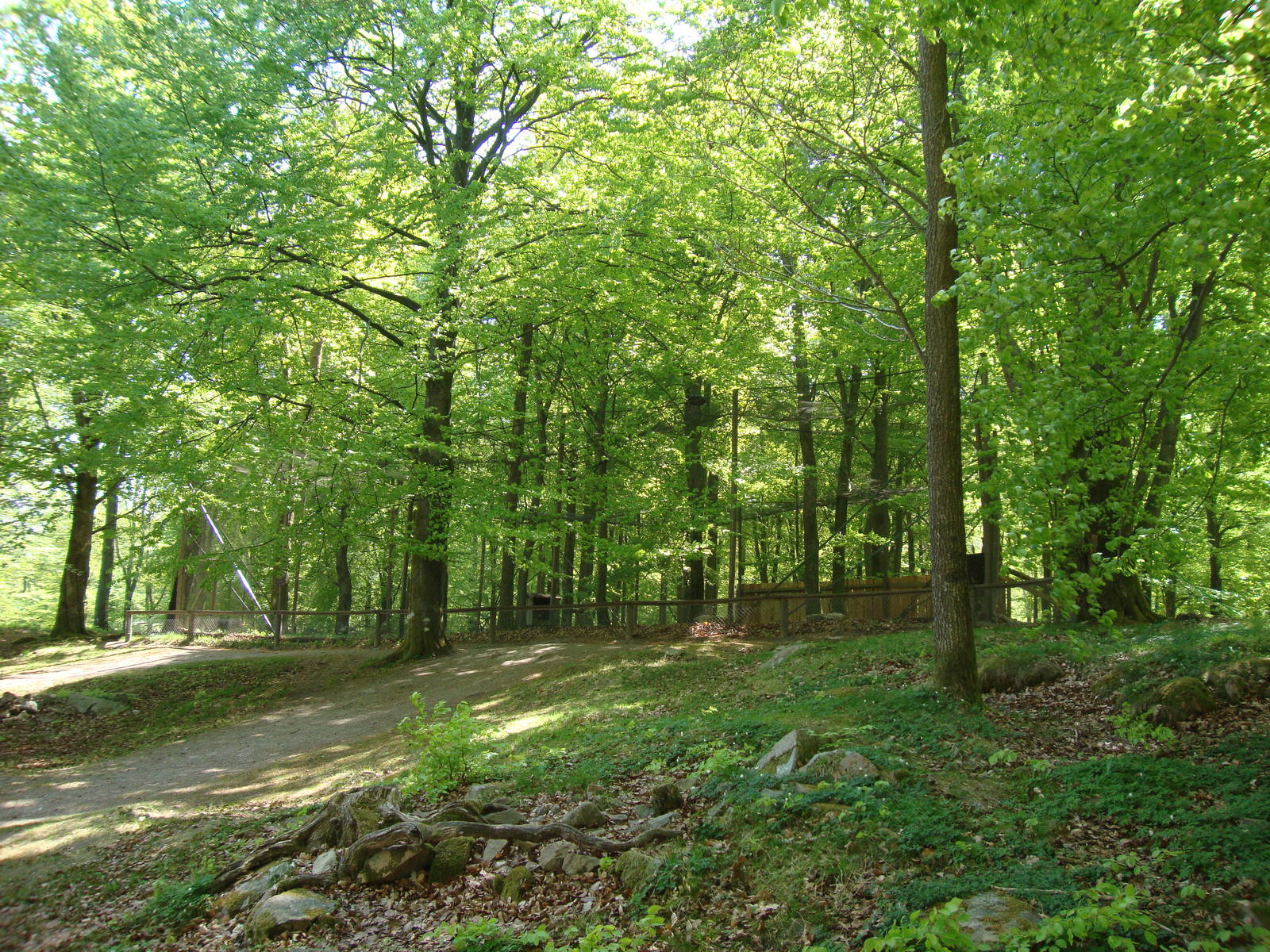 Sk?nes Djurpark May 2013