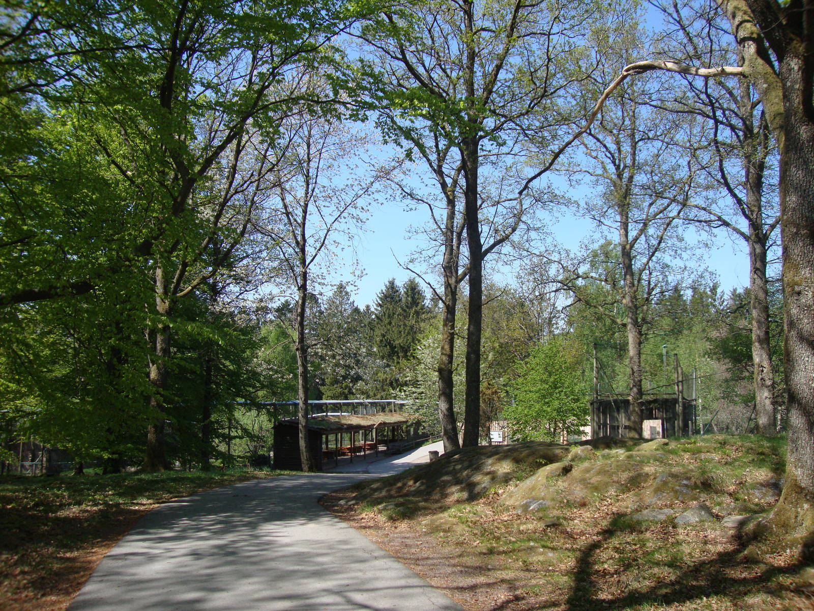 Sk?nes Djurpark May 2013