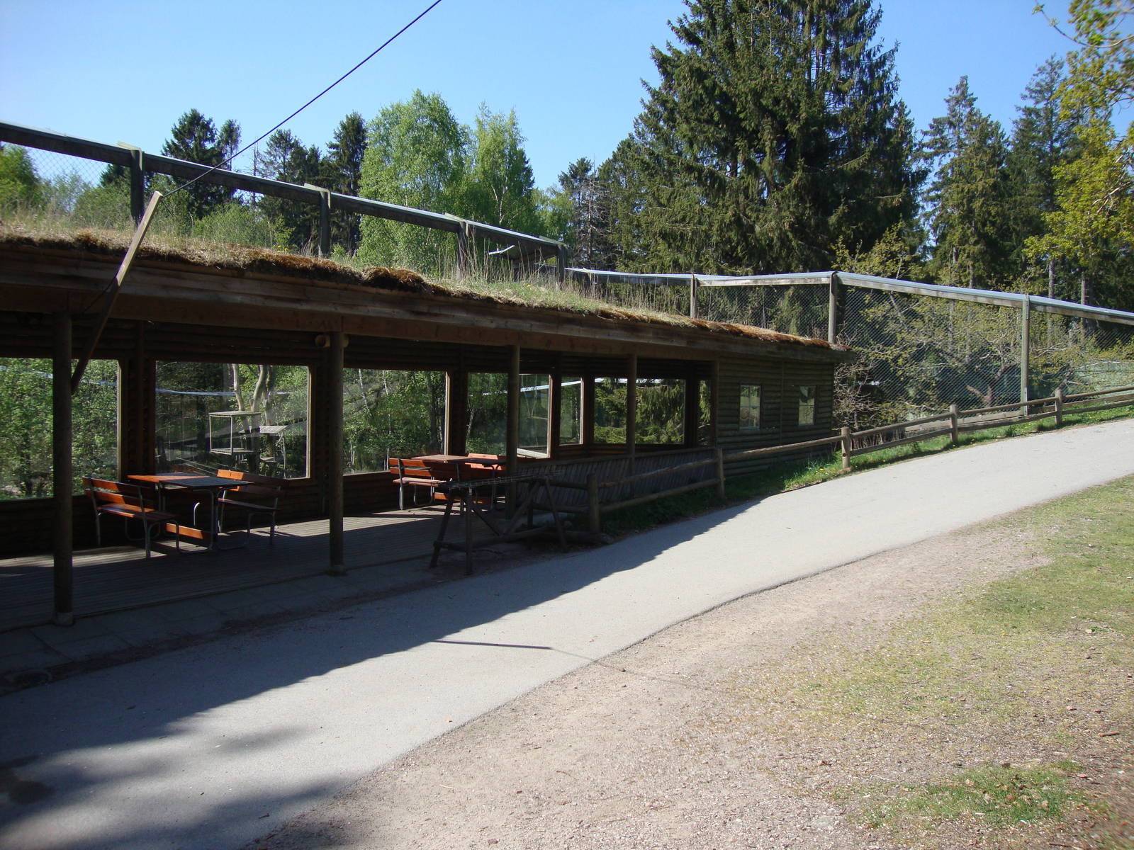 Sk?nes Djurpark May 2013