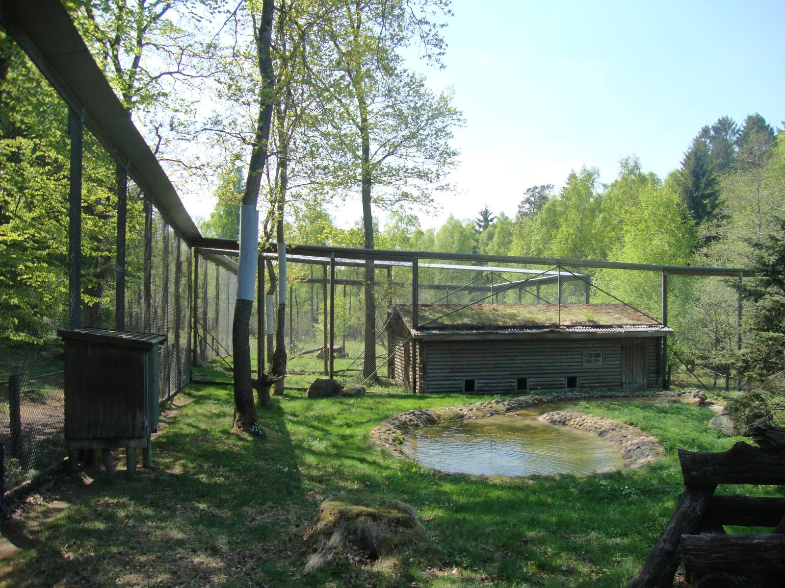 Sk?nes Djurpark May 2013