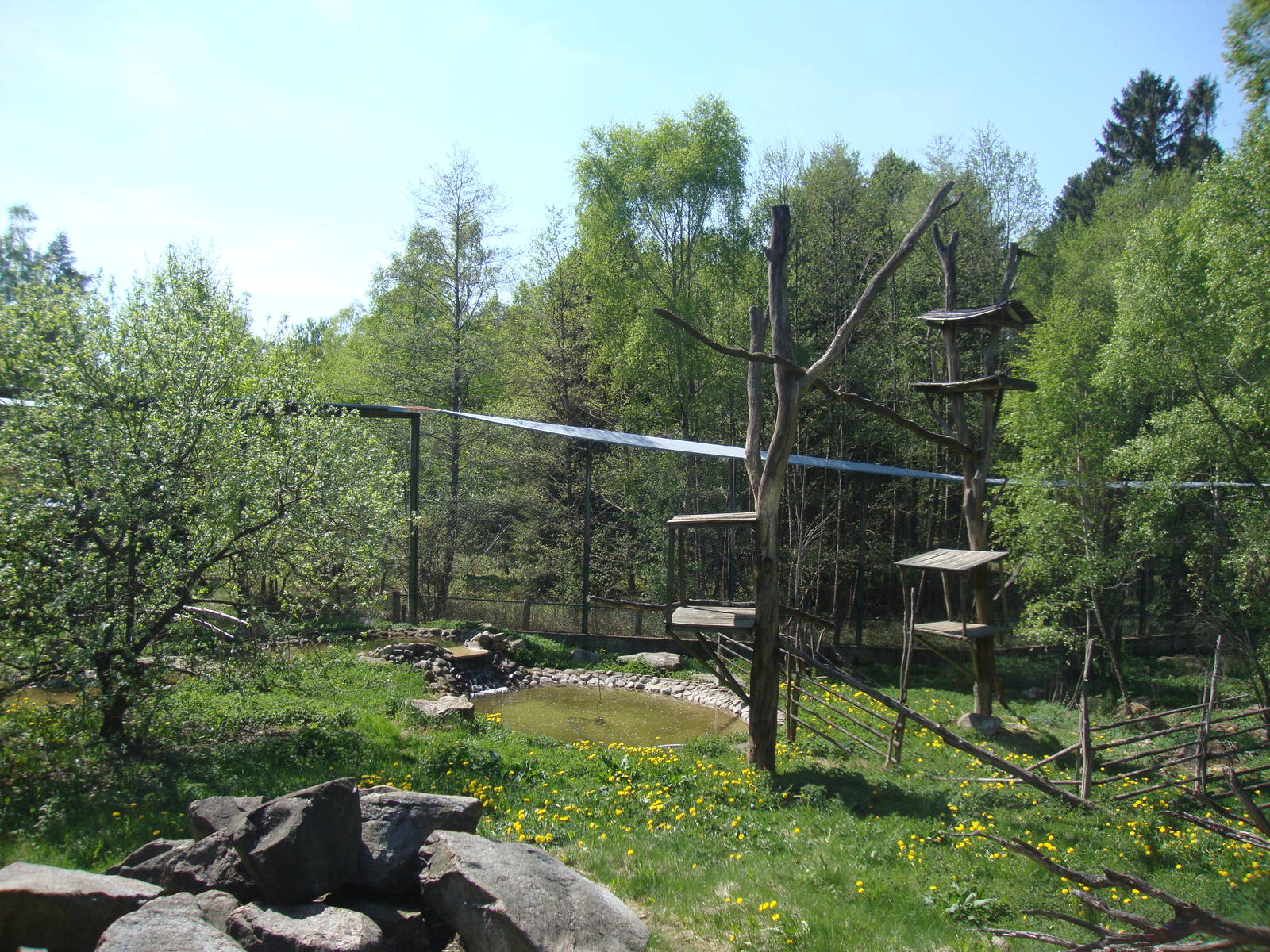 Sk?nes Djurpark May 2013