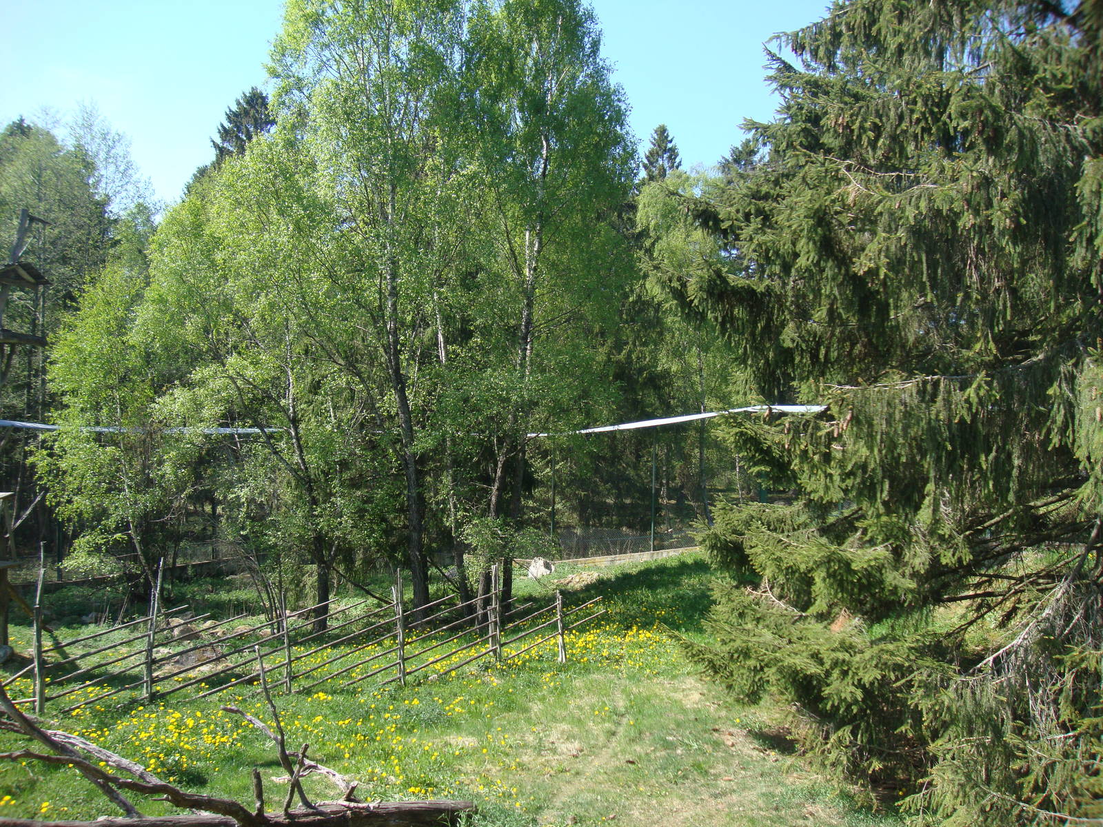 Sk?nes Djurpark May 2013