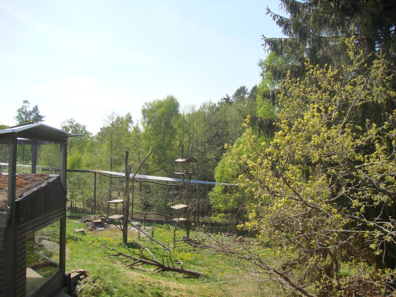 Sk?nes Djurpark May 2013