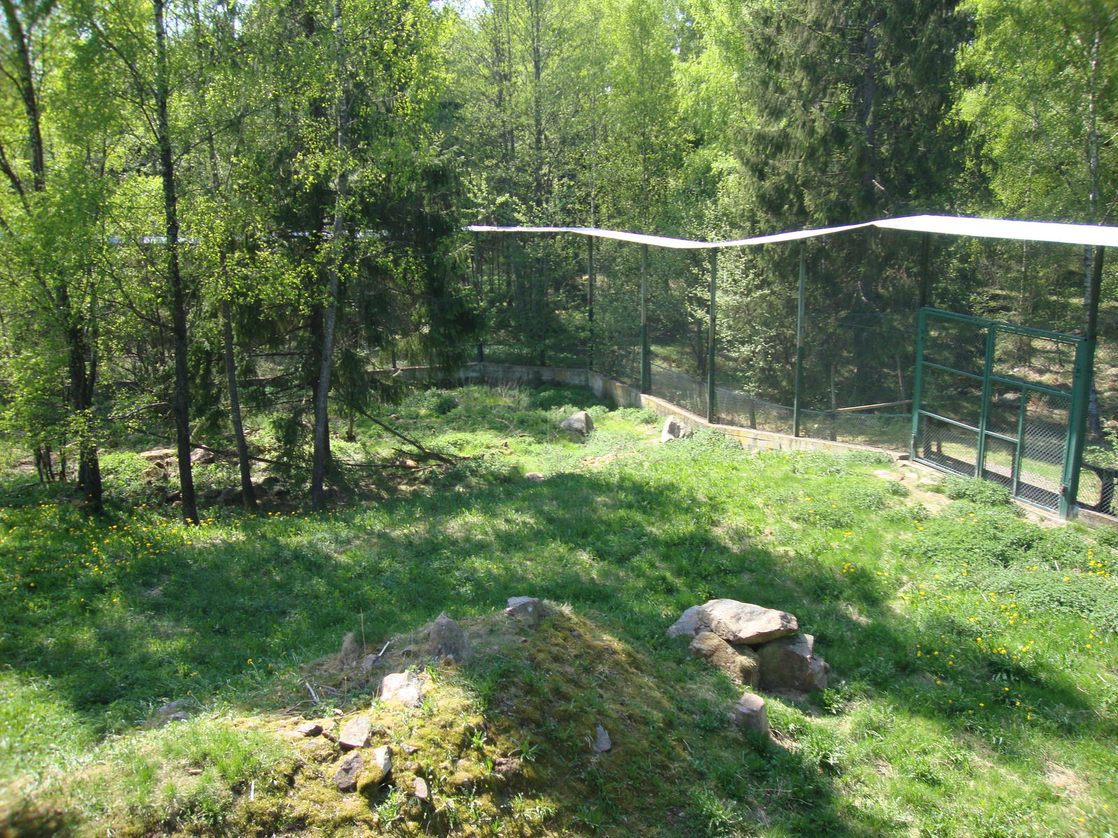 Sk?nes Djurpark May 2013