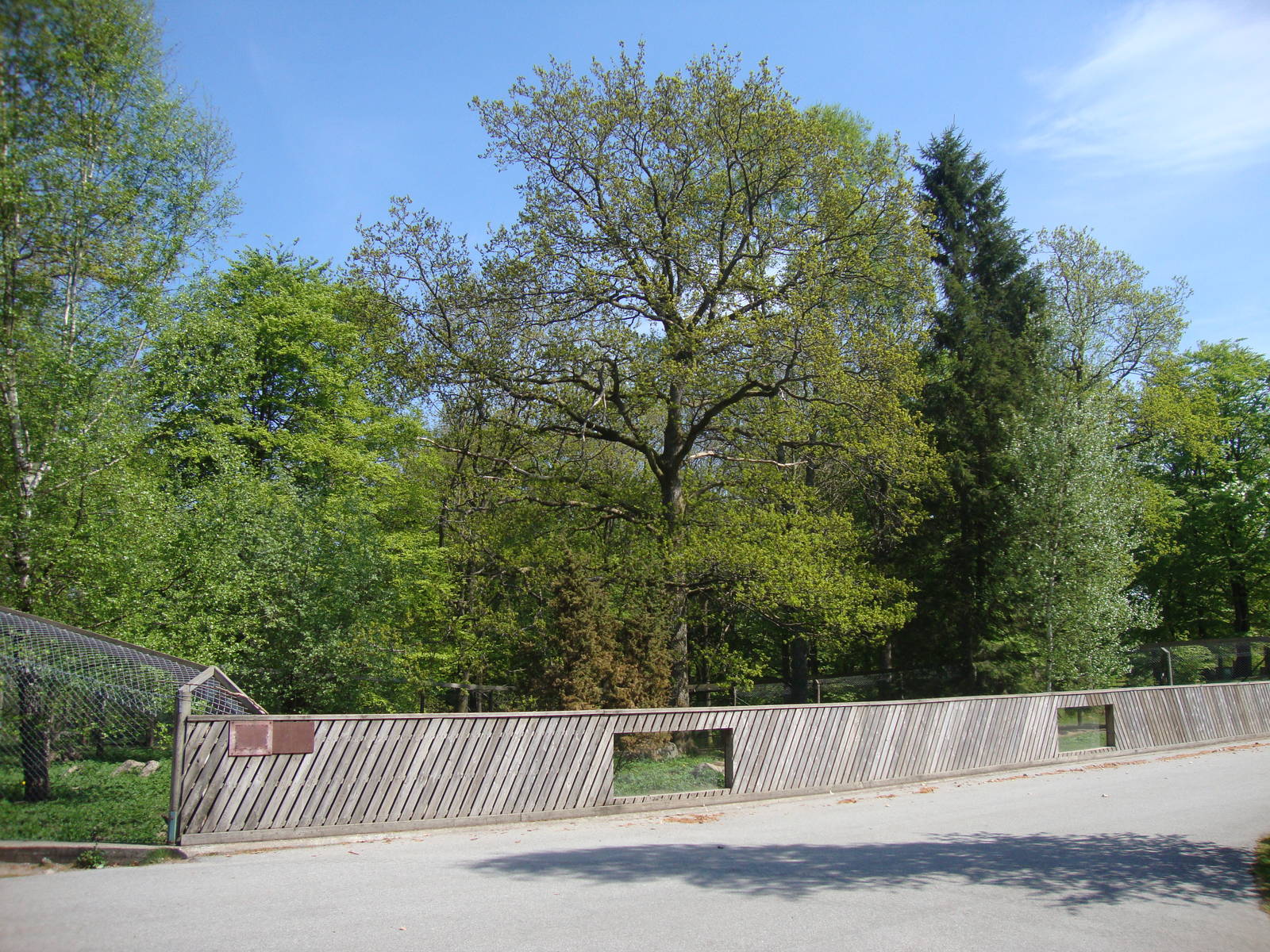 Sk?nes Djurpark May 2013