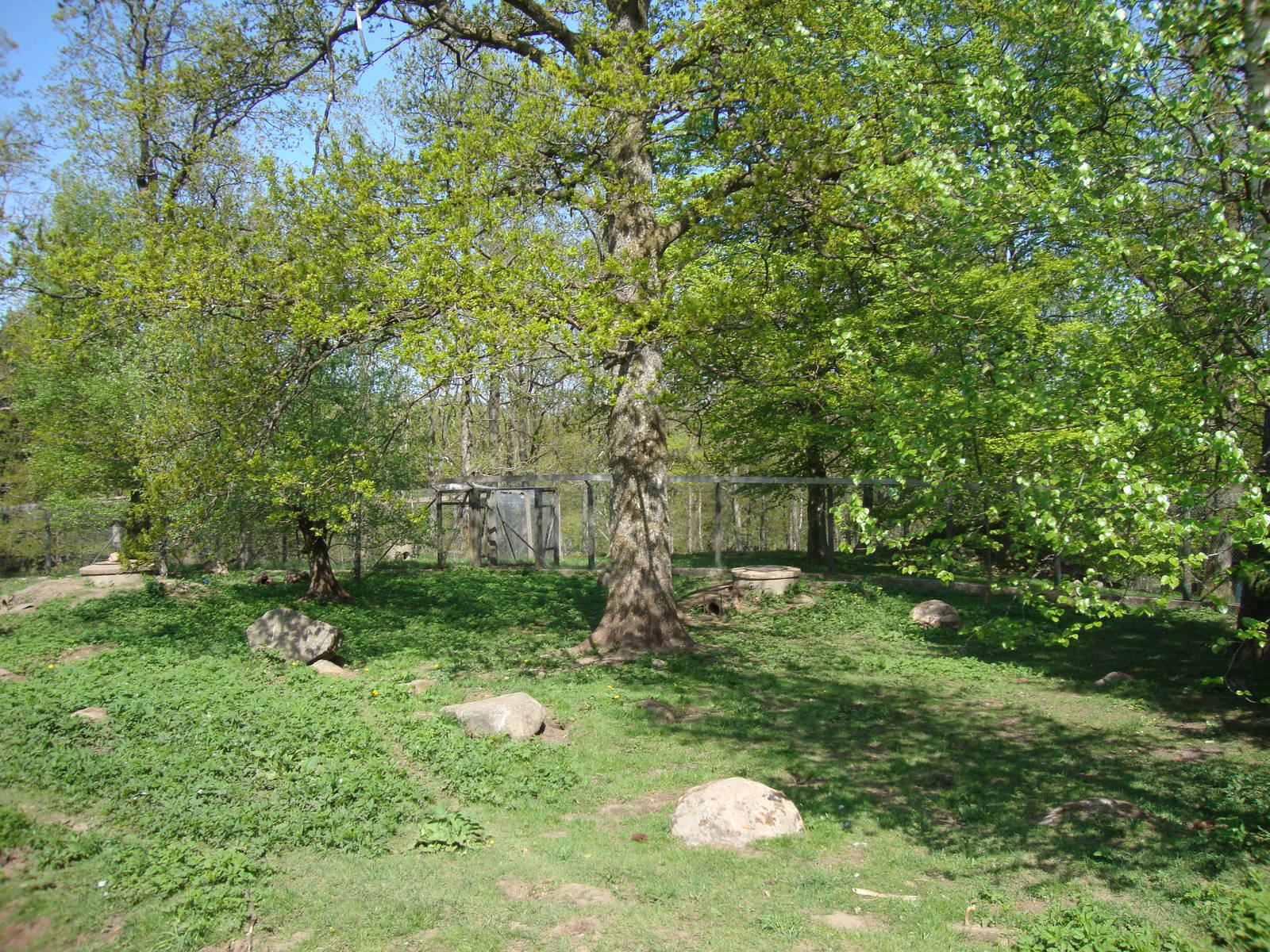 Sk?nes Djurpark May 2013