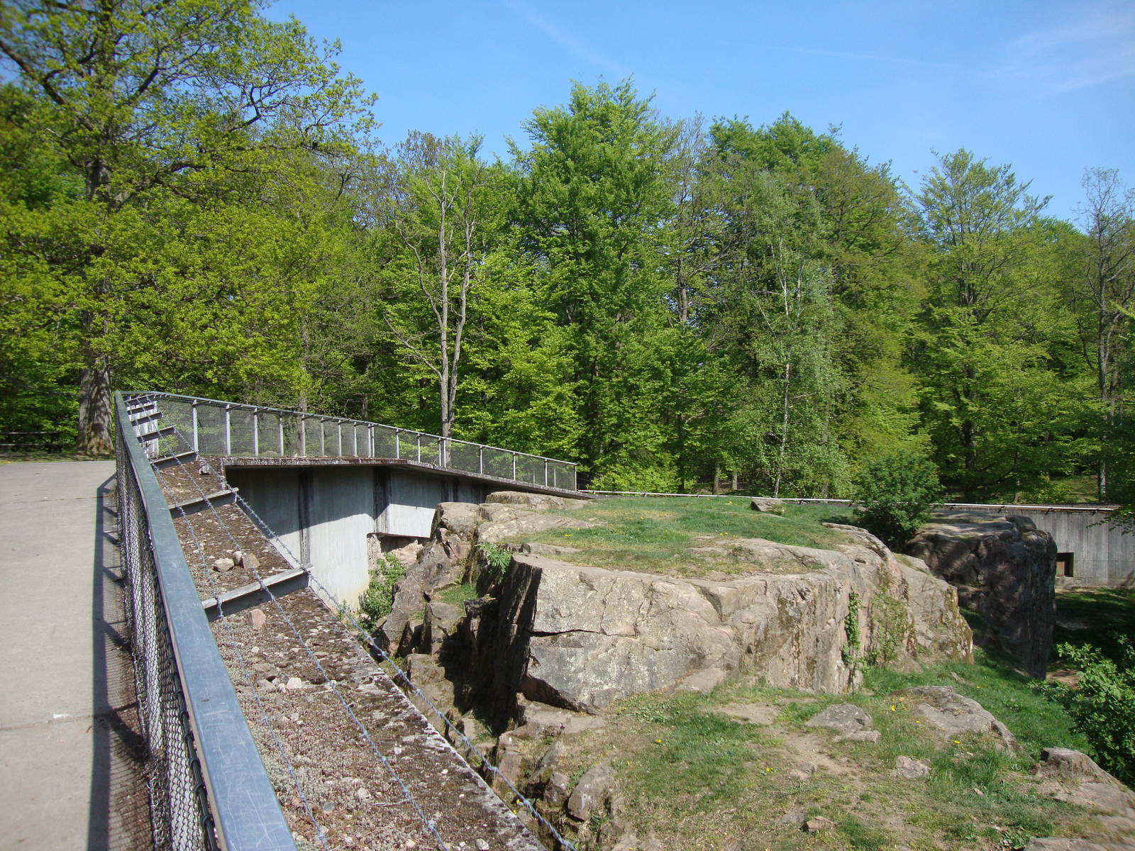 Sk?nes Djurpark May 2013