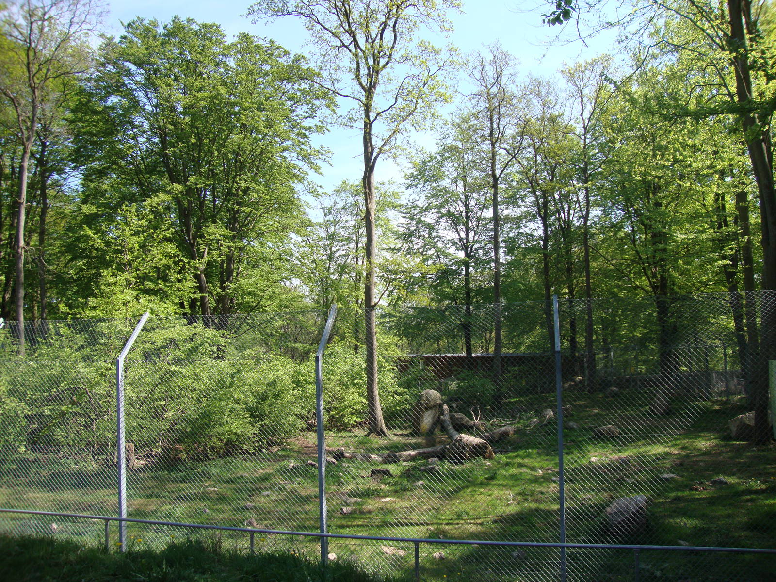 Sk?nes Djurpark May 2013