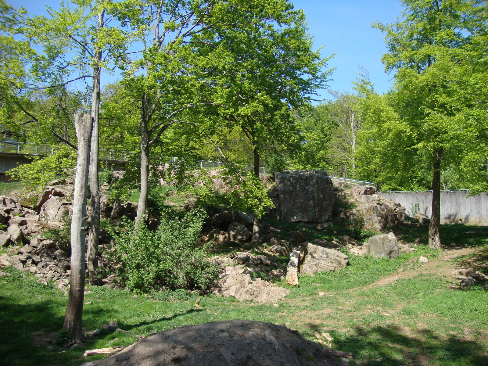 Sk?nes Djurpark May 2013